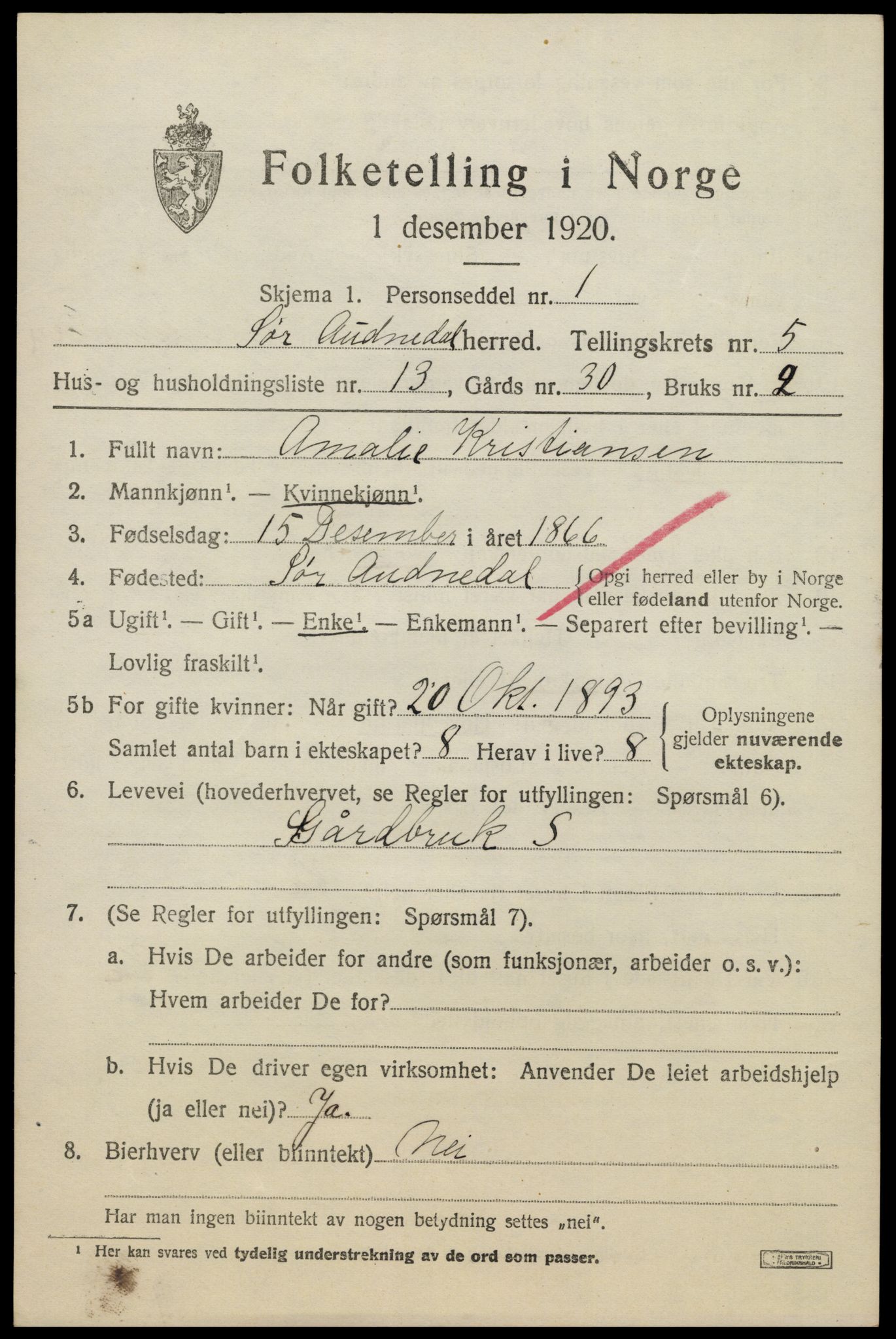 SAK, 1920 census for Sør-Audnedal, 1920, p. 2631