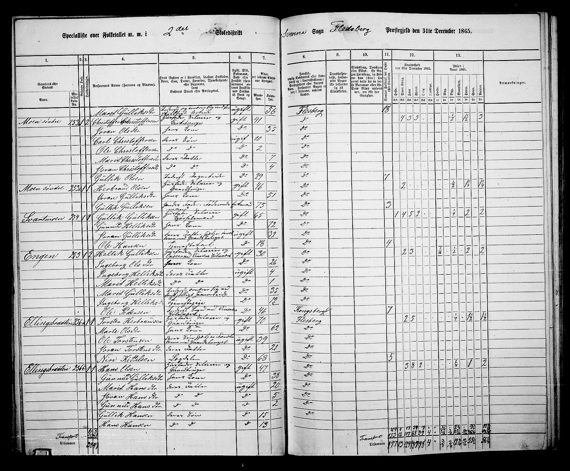 RA, 1865 census for Flesberg, 1865, p. 46