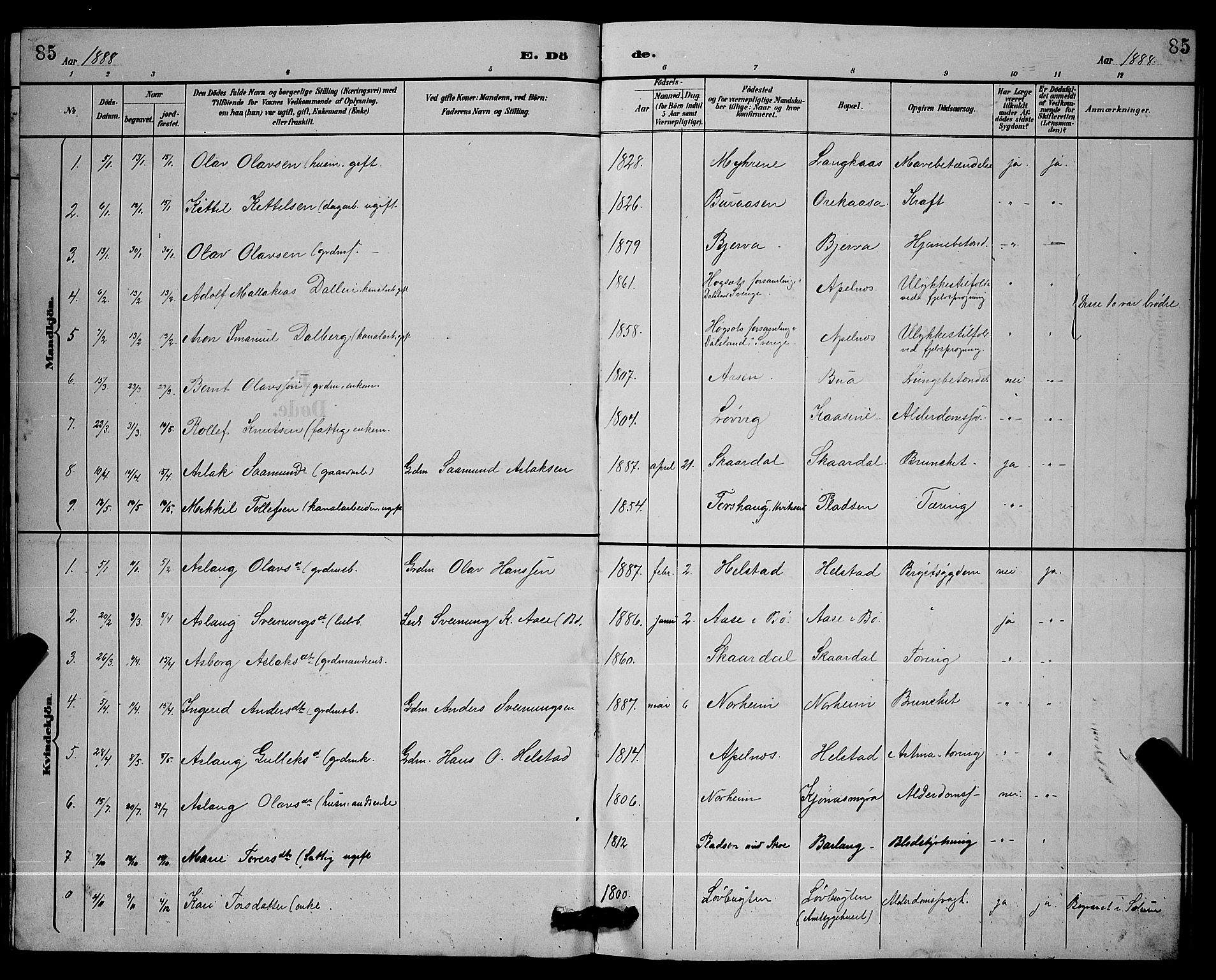 Lunde kirkebøker, SAKO/A-282/G/Ga/L0002: Parish register (copy) no. I 2, 1887-1896, p. 85