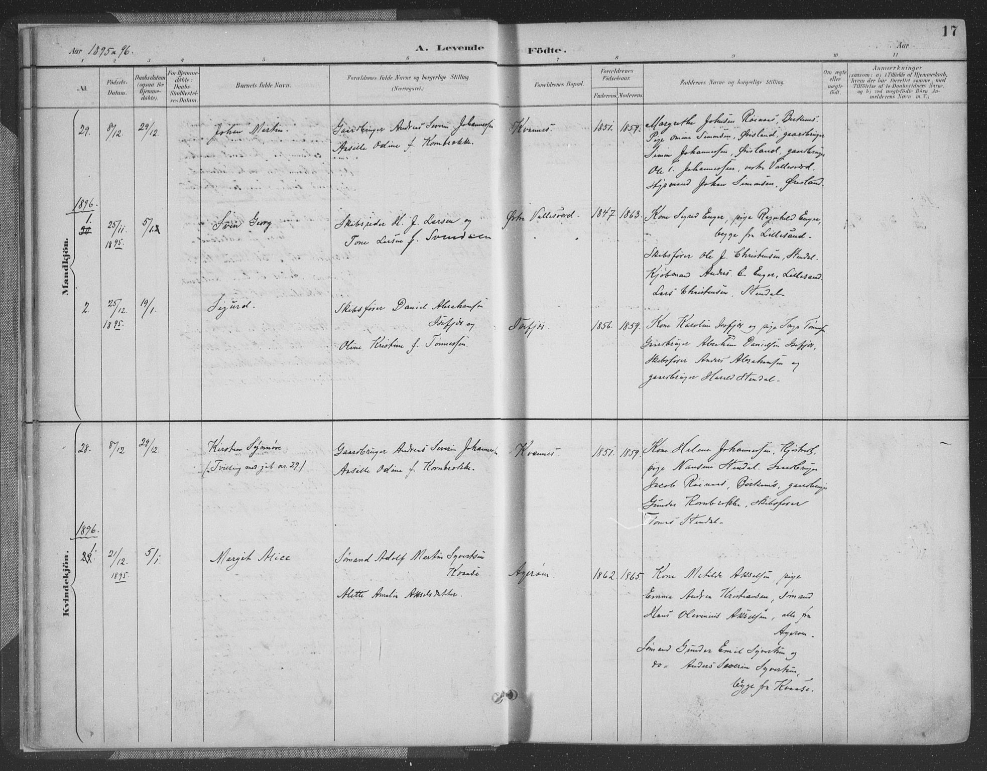 Høvåg sokneprestkontor, AV/SAK-1111-0025/F/Fa/L0006: Parish register (official) no. A 6, 1894-1923, p. 17