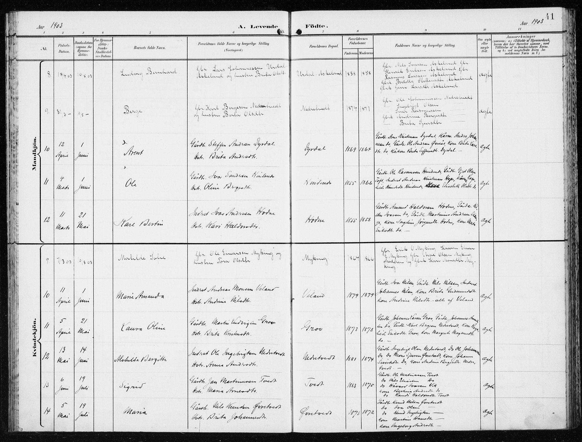 Lindås Sokneprestembete, AV/SAB-A-76701/H/Haa/Haaf/L0002: Parish register (official) no. F  2, 1897-1909, p. 41