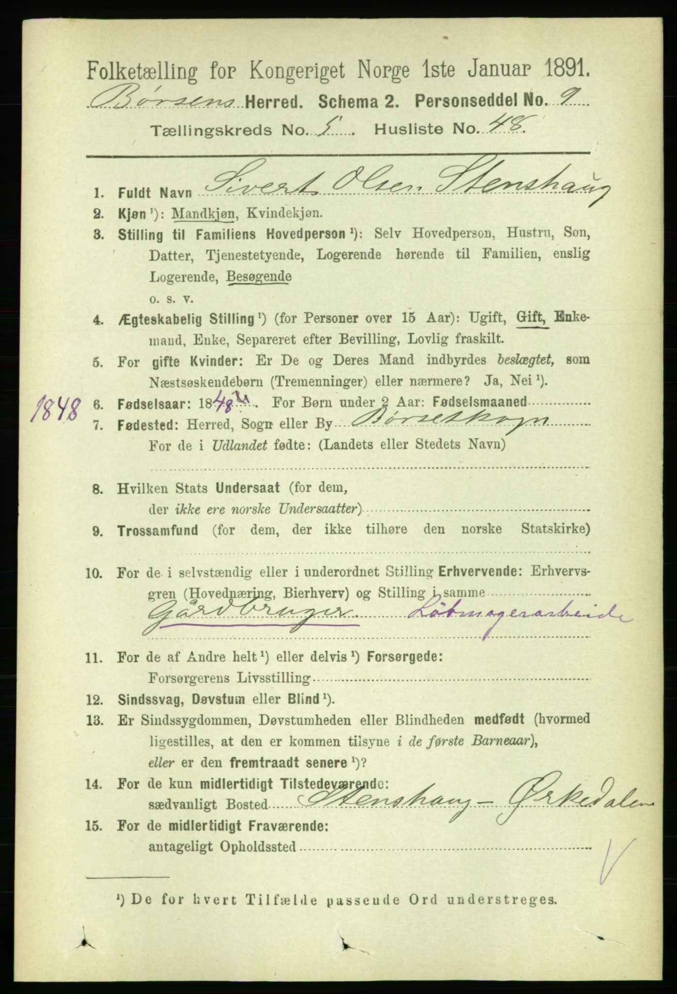 RA, 1891 census for 1658 Børsa, 1891, p. 2254