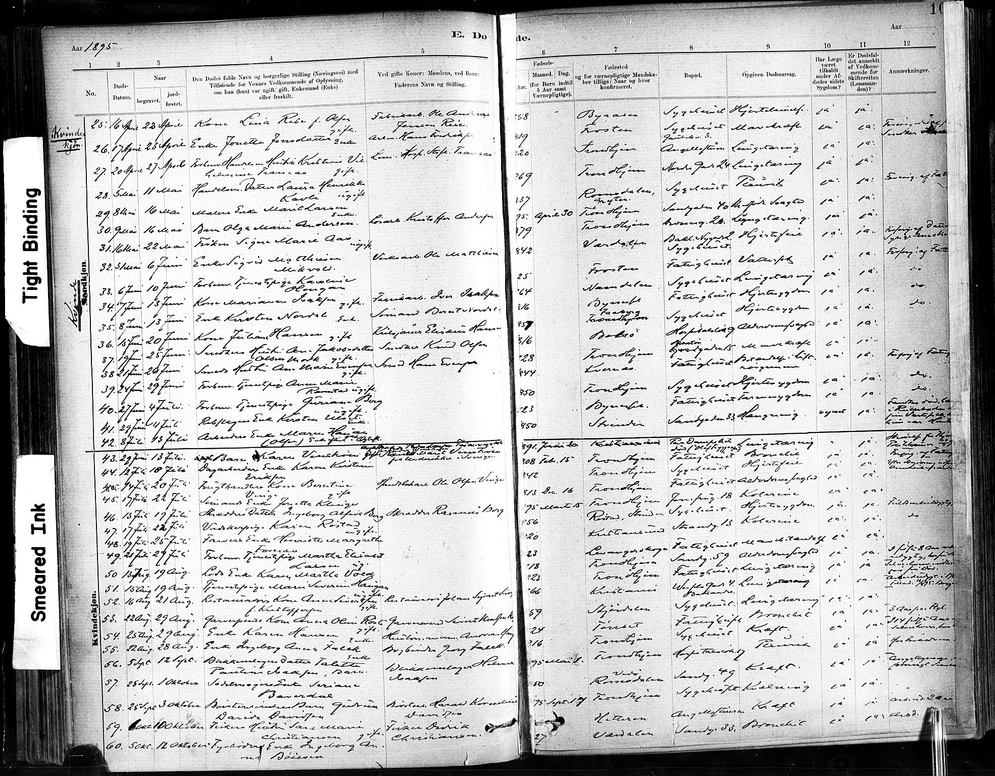 Ministerialprotokoller, klokkerbøker og fødselsregistre - Sør-Trøndelag, SAT/A-1456/602/L0120: Parish register (official) no. 602A18, 1880-1913, p. 102