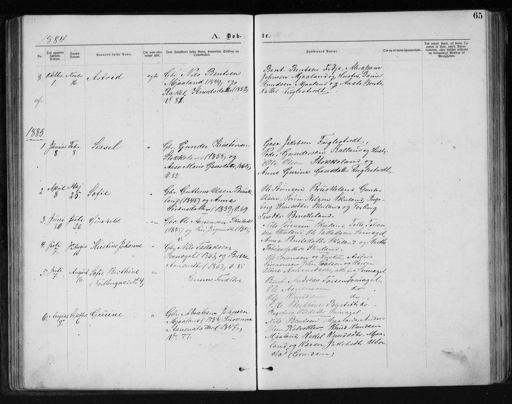 Holum sokneprestkontor, SAK/1111-0022/F/Fb/Fbb/L0003: Parish register (copy) no. B 3, 1875-1898, p. 65
