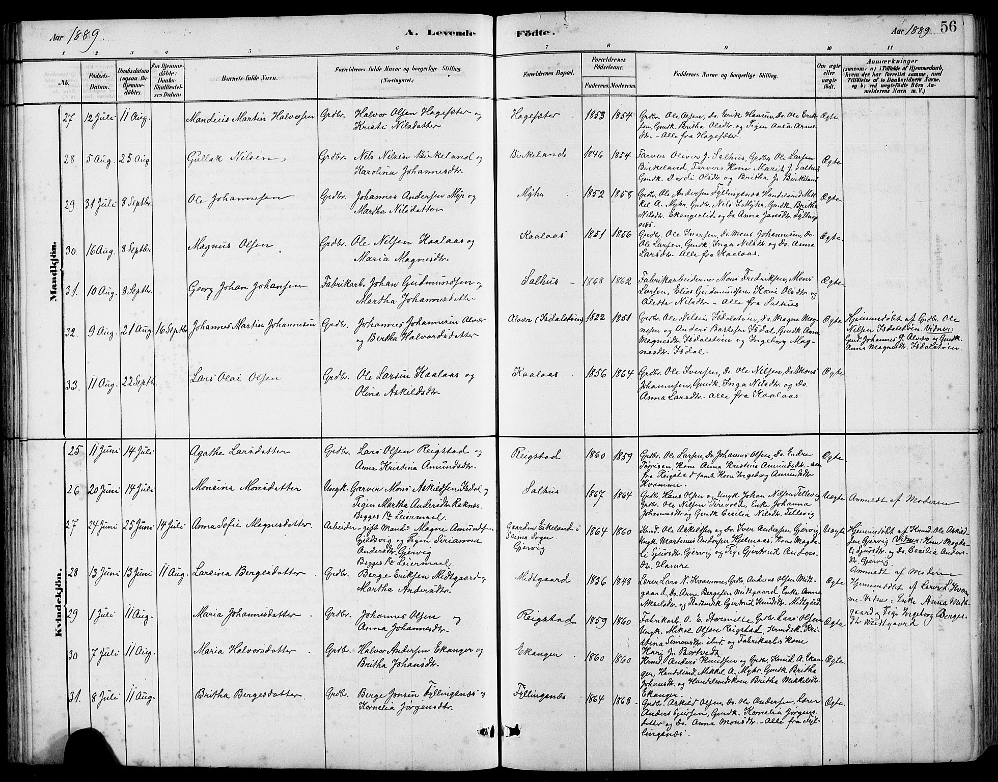 Hamre sokneprestembete, AV/SAB-A-75501/H/Ha/Hab: Parish register (copy) no. B 3, 1881-1898, p. 56