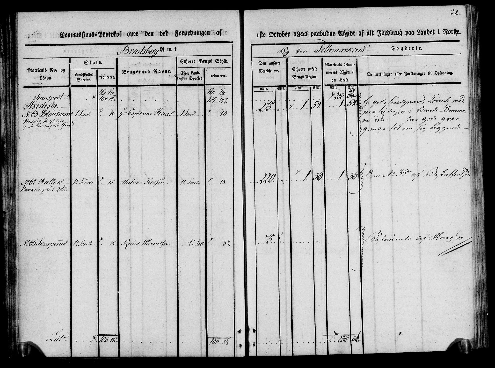 Rentekammeret inntil 1814, Realistisk ordnet avdeling, AV/RA-EA-4070/N/Ne/Nea/L0075: Øvre Telemarken fogderi. Kommisjonsprotokoll for fogderiets vestre del - Kviteseid, Vinje, Moland [):Fyresdal] og Lårdal prestegjeld., 1803, p. 38