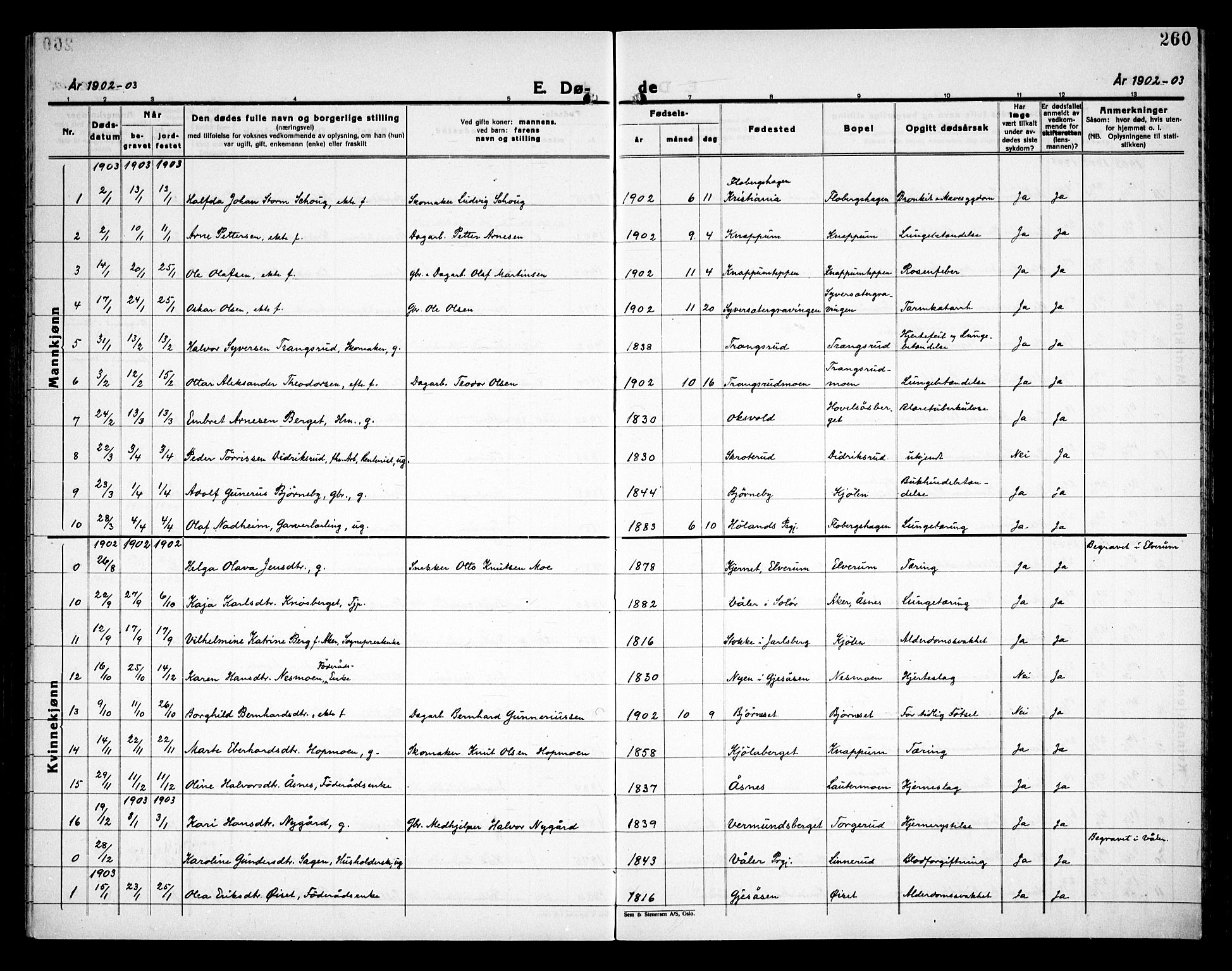 Åsnes prestekontor, SAH/PREST-042/H/Ha/Haa/L0000C: Parish register (official) no. 0A, 1890-1929, p. 260