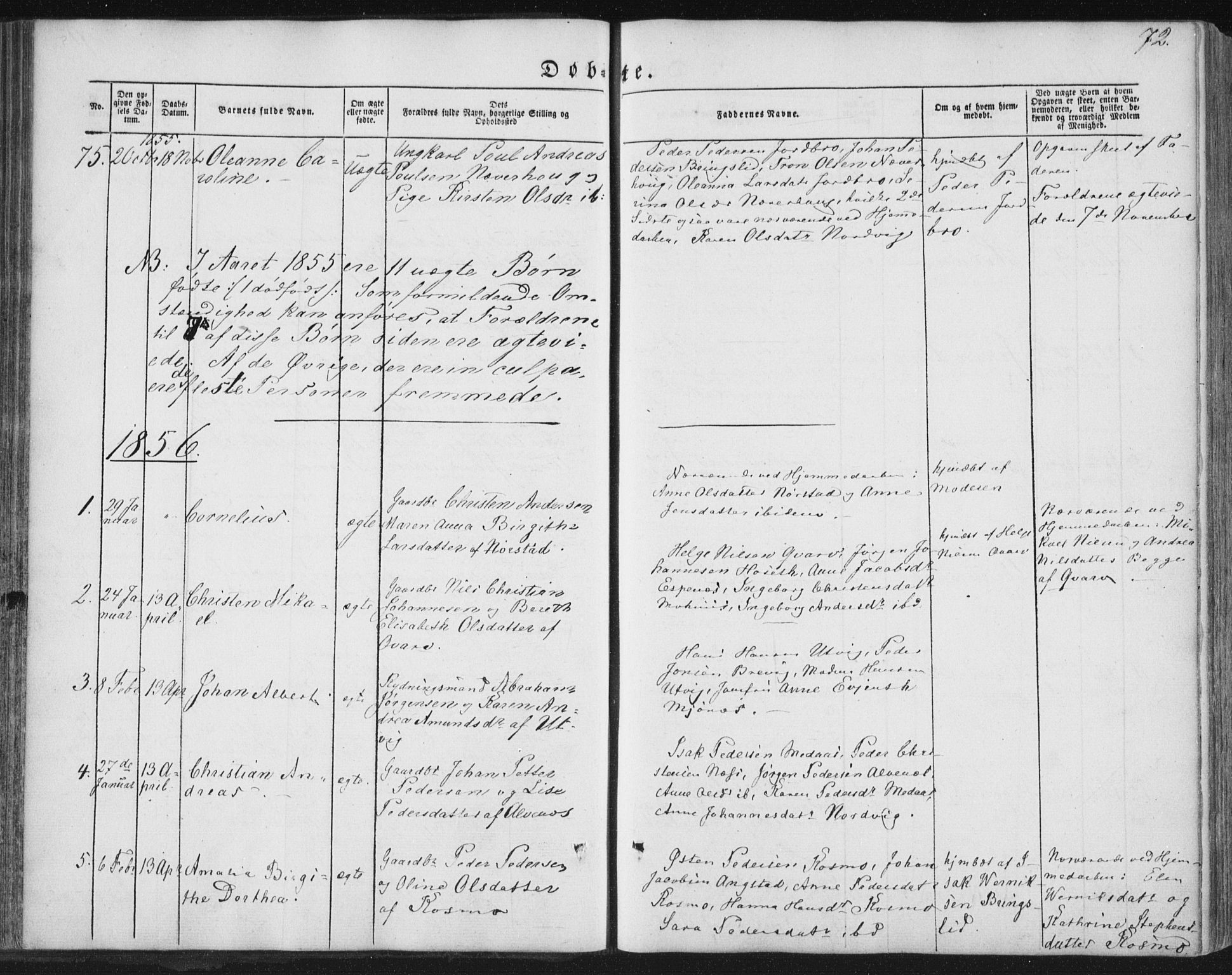 Ministerialprotokoller, klokkerbøker og fødselsregistre - Nordland, AV/SAT-A-1459/852/L0738: Parish register (official) no. 852A08, 1849-1865, p. 72