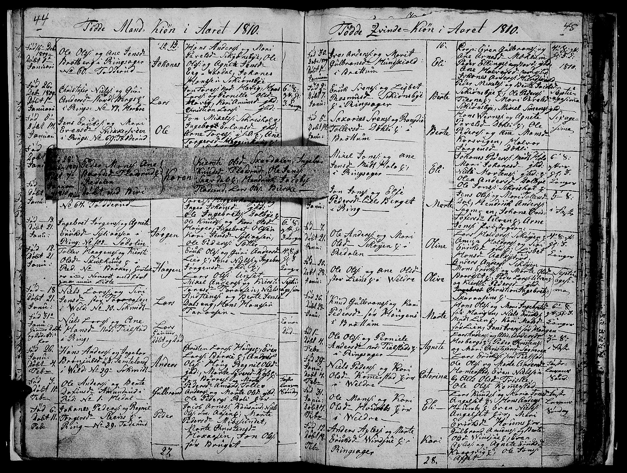 Ringsaker prestekontor, SAH/PREST-014/I/Ia/L0005/0008: Parish register draft no. 1H, 1807-1811, p. 44-45