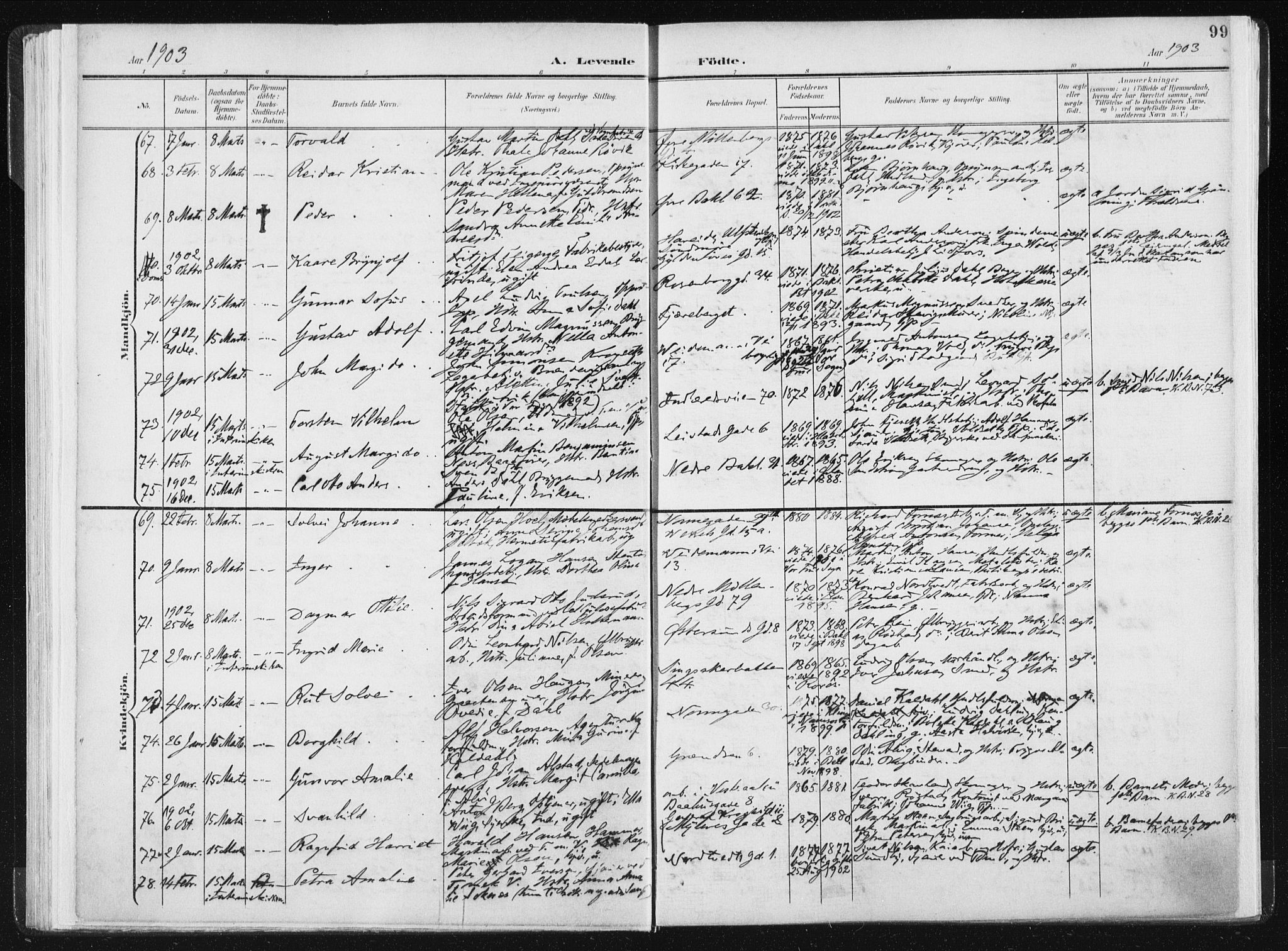 Ministerialprotokoller, klokkerbøker og fødselsregistre - Sør-Trøndelag, AV/SAT-A-1456/604/L0199: Parish register (official) no. 604A20I, 1901-1906, p. 99