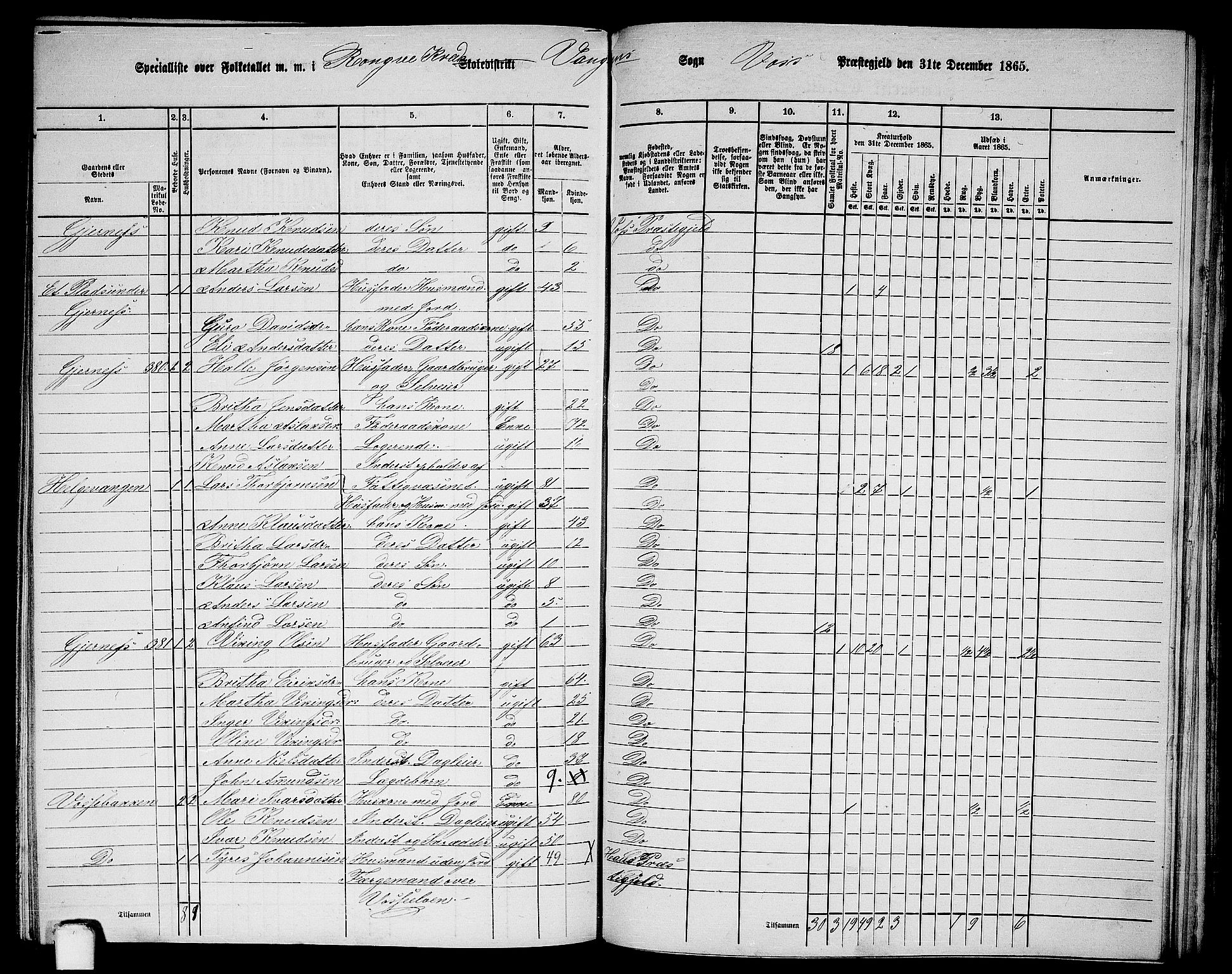 RA, 1865 census for Voss, 1865, p. 173