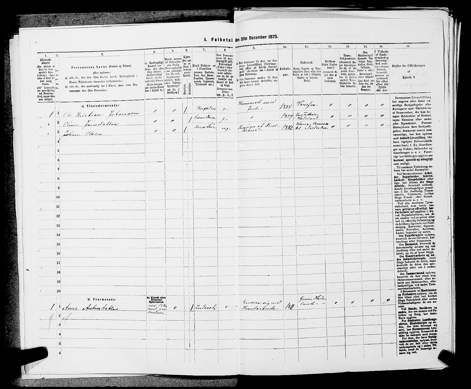 SAKO, 1875 census for 0613L Norderhov/Norderhov, Haug og Lunder, 1875, p. 1505