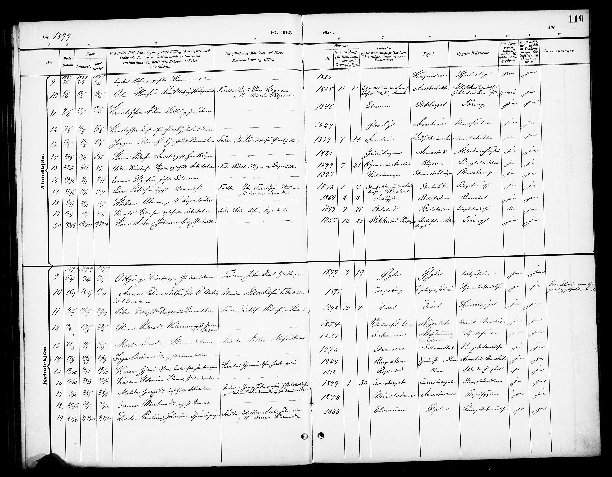 Åmot prestekontor, Hedmark, AV/SAH-PREST-056/H/Ha/Haa/L0013: Parish register (official) no. 13, 1898-1906, p. 119