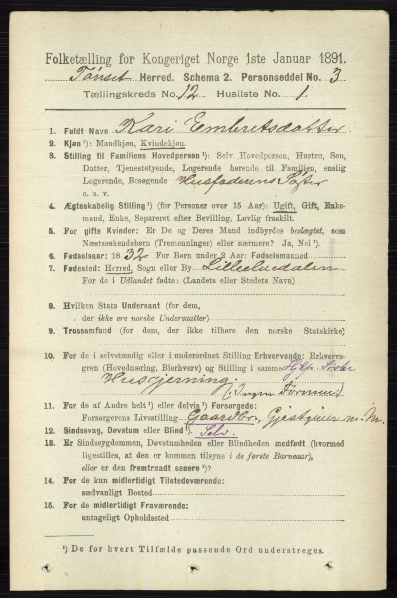RA, 1891 census for 0437 Tynset, 1891, p. 3202