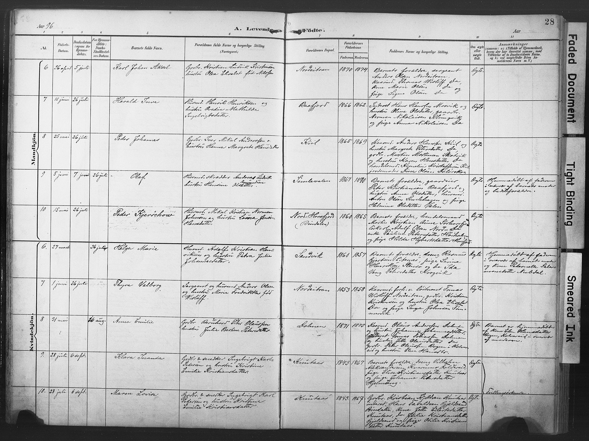 Ministerialprotokoller, klokkerbøker og fødselsregistre - Nord-Trøndelag, SAT/A-1458/789/L0706: Parish register (copy) no. 789C01, 1888-1931, p. 28