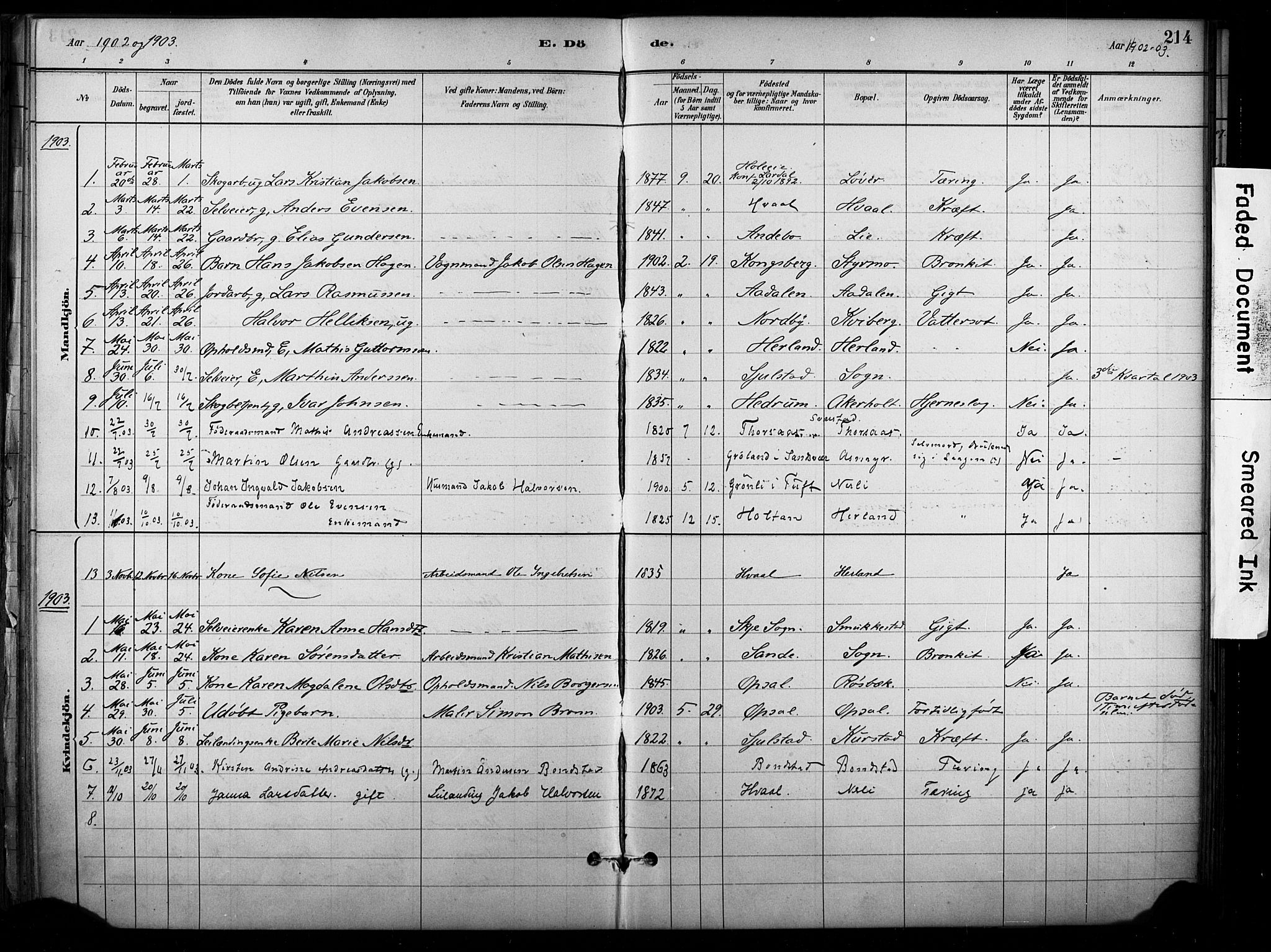 Lardal kirkebøker, SAKO/A-350/F/Fb/L0001: Parish register (official) no. II 1, 1881-1911, p. 214