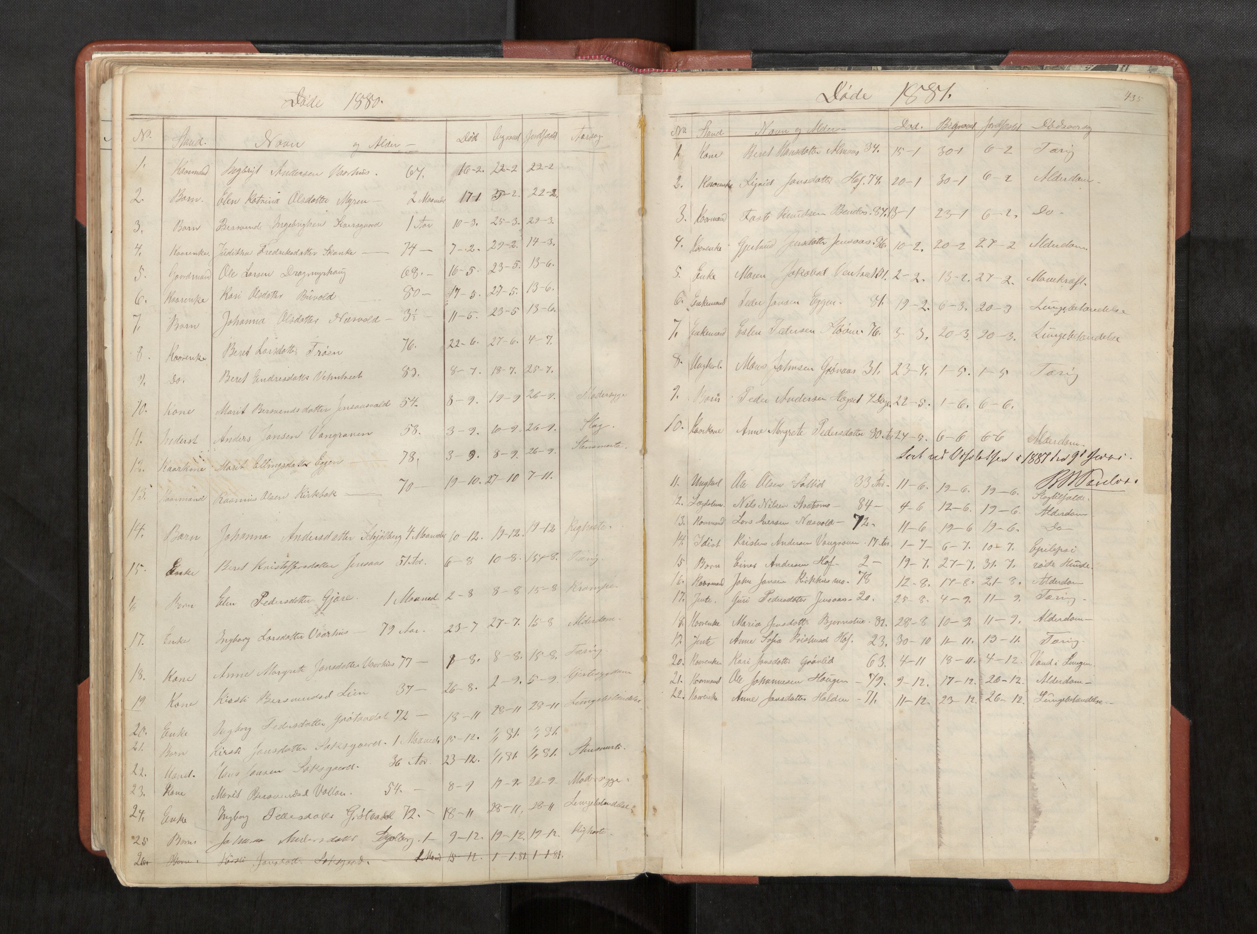 Ministerialprotokoller, klokkerbøker og fødselsregistre - Sør-Trøndelag, SAT/A-1456/686/L0985: Parish register (copy) no. 686C01, 1871-1933, p. 435