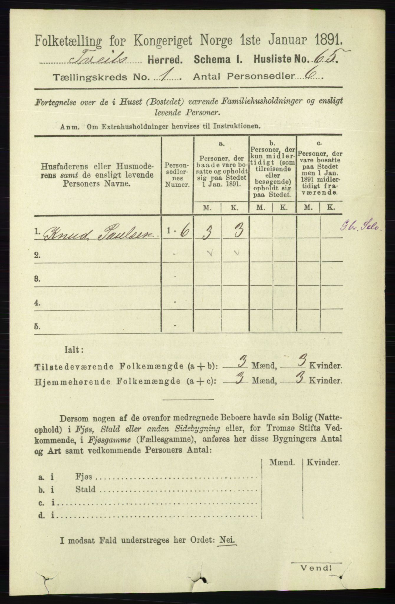 RA, 1891 census for 1013 Tveit, 1891, p. 81