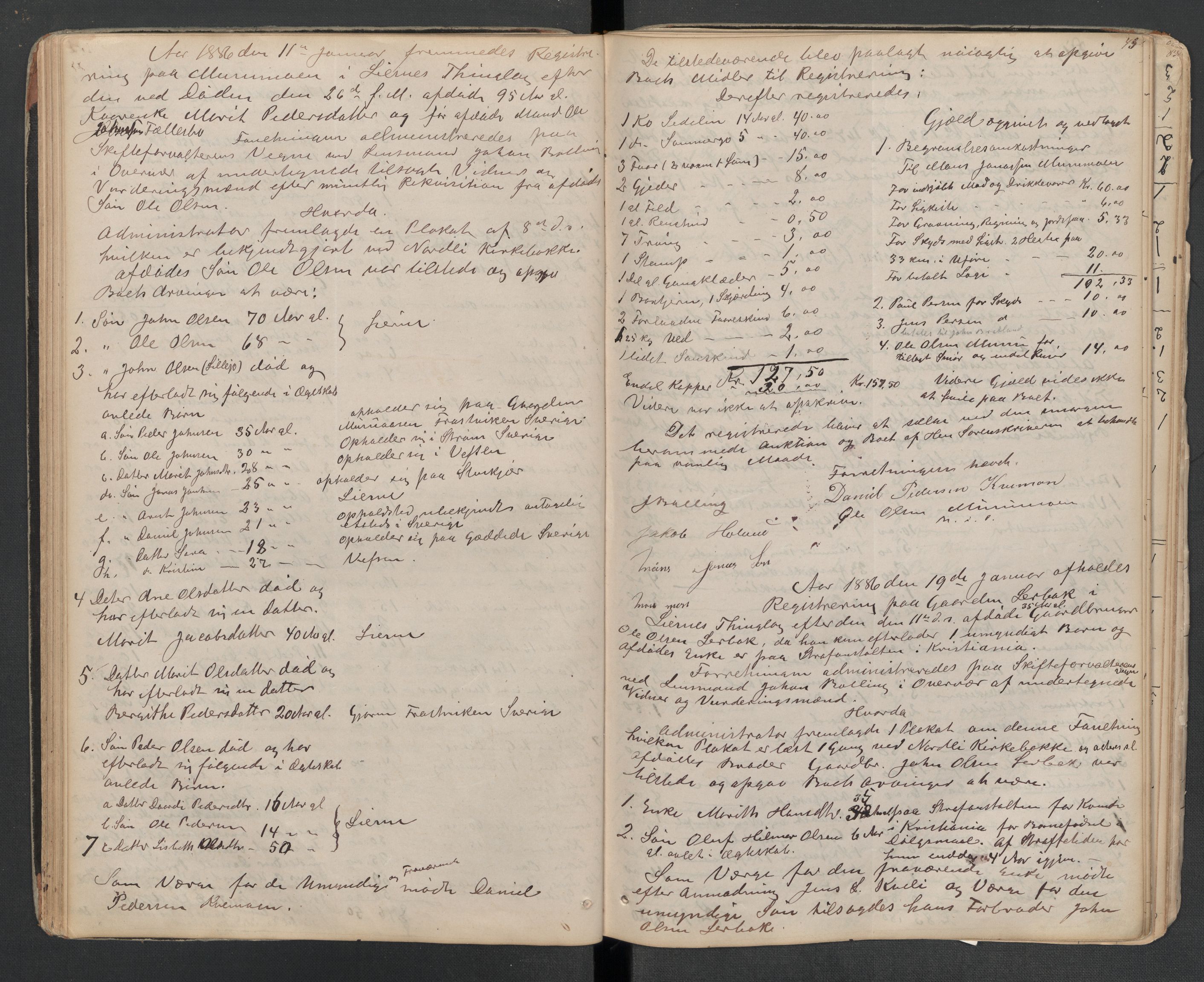 Lierne lensmannskontor - 1. avlevering, AV/SAT-A-1030/02/L0014: Dødsfalls-/ registreringsprotokoll, 1872-1905, p. 43