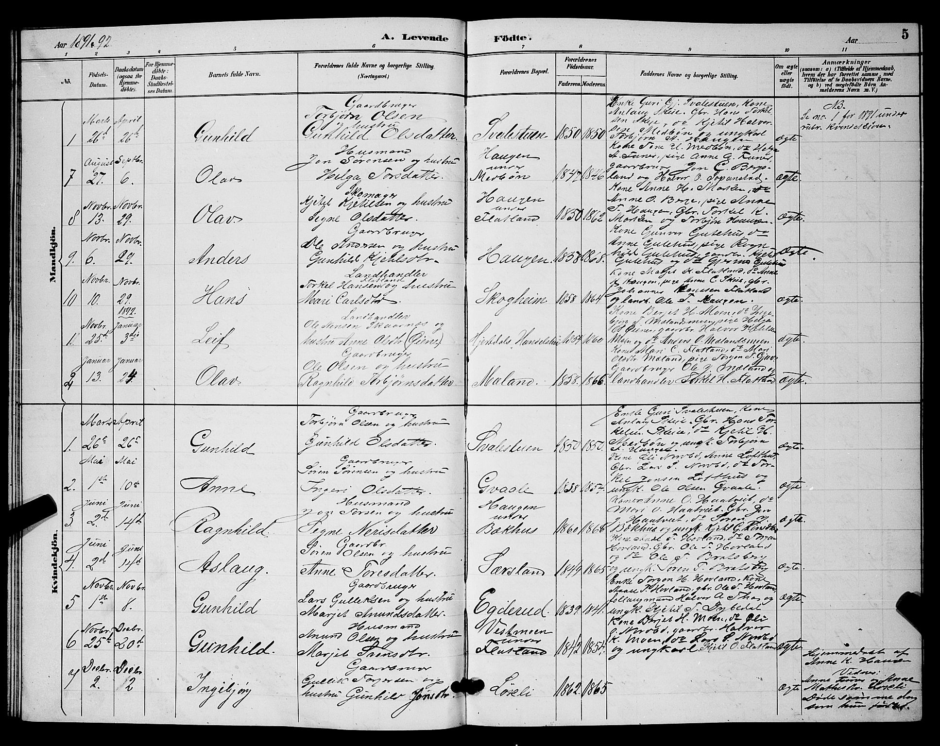 Hjartdal kirkebøker, SAKO/A-270/G/Ga/L0003: Parish register (copy) no. I 3, 1889-1896, p. 5
