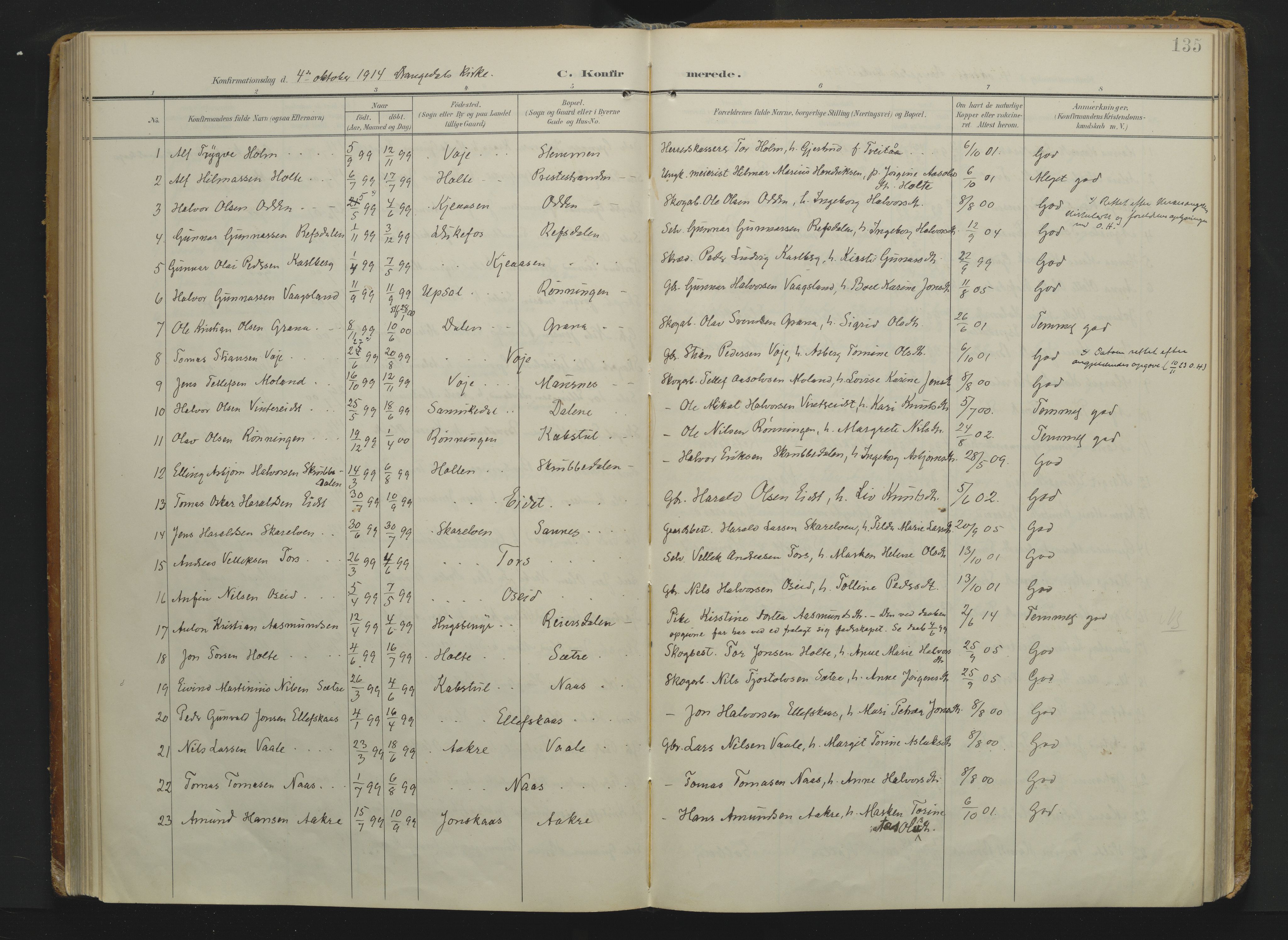 Drangedal kirkebøker, AV/SAKO-A-258/F/Fa/L0014: Parish register (official) no. 14, 1906-1920, p. 135