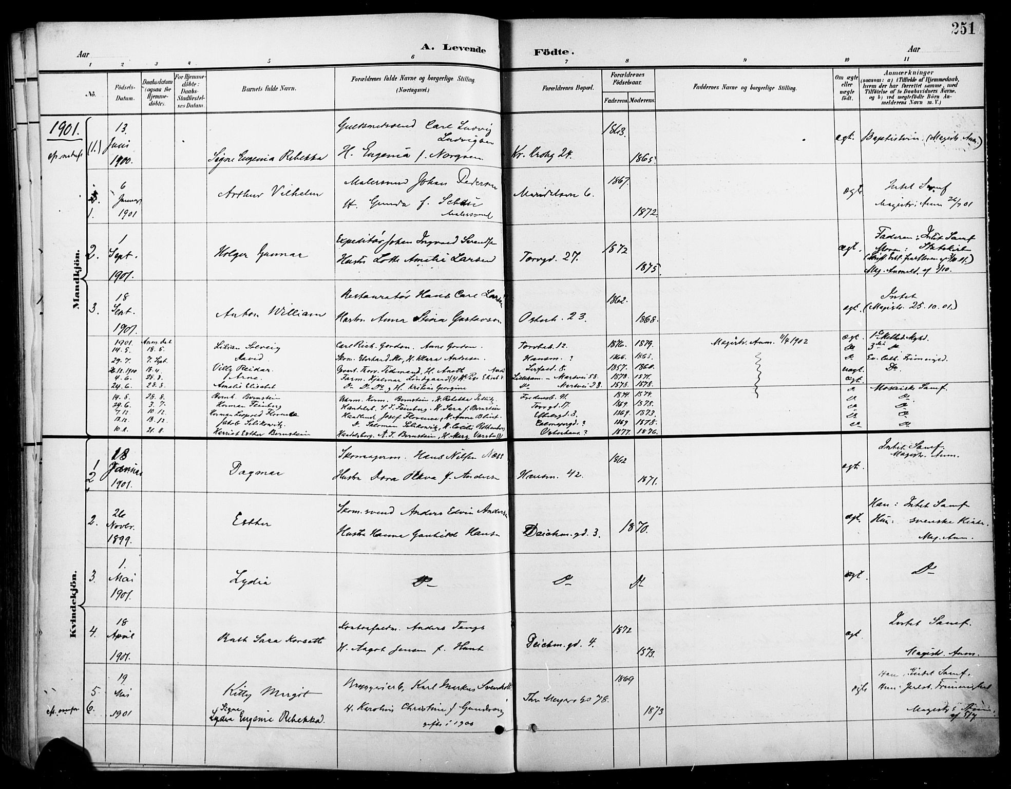 Jakob prestekontor Kirkebøker, SAO/A-10850/F/Fa/L0005: Parish register (official) no. 5, 1896-1903, p. 251