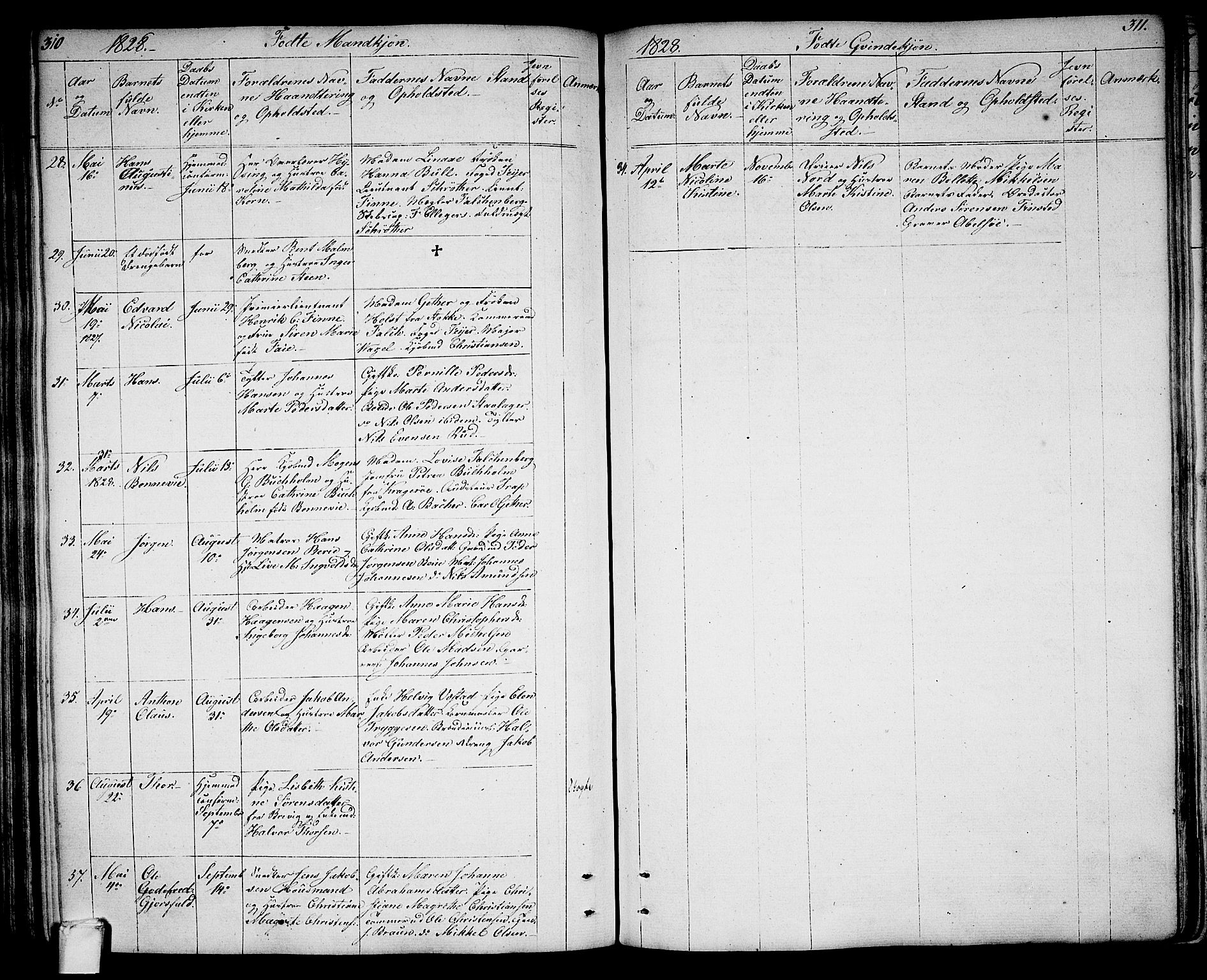 Larvik kirkebøker, SAKO/A-352/G/Ga/L0002: Parish register (copy) no. I 2, 1807-1830, p. 310-311