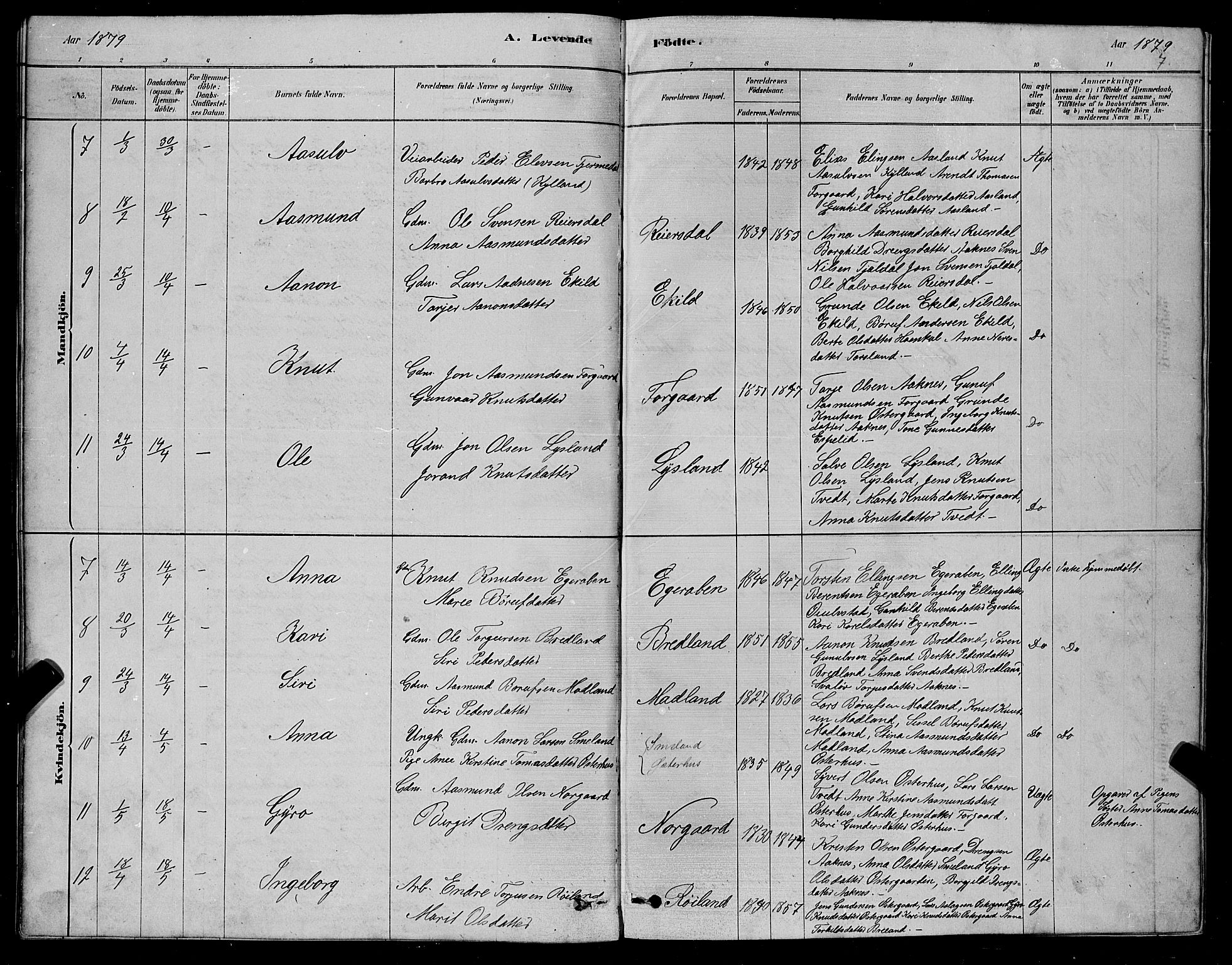 Åseral sokneprestkontor, SAK/1111-0051/F/Fb/L0002: Parish register (copy) no. B 2, 1878-1899, p. 7