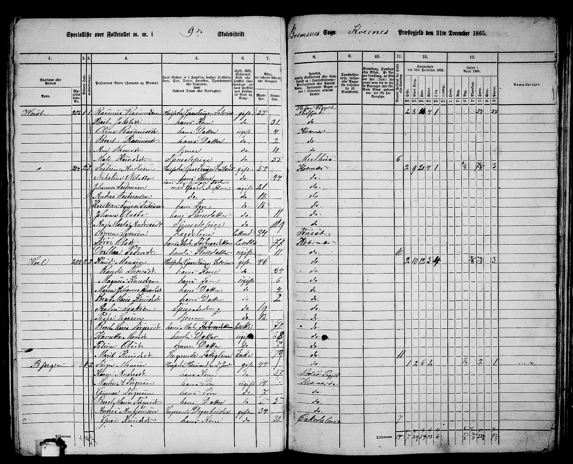 RA, 1865 census for Kvernes, 1865, p. 161