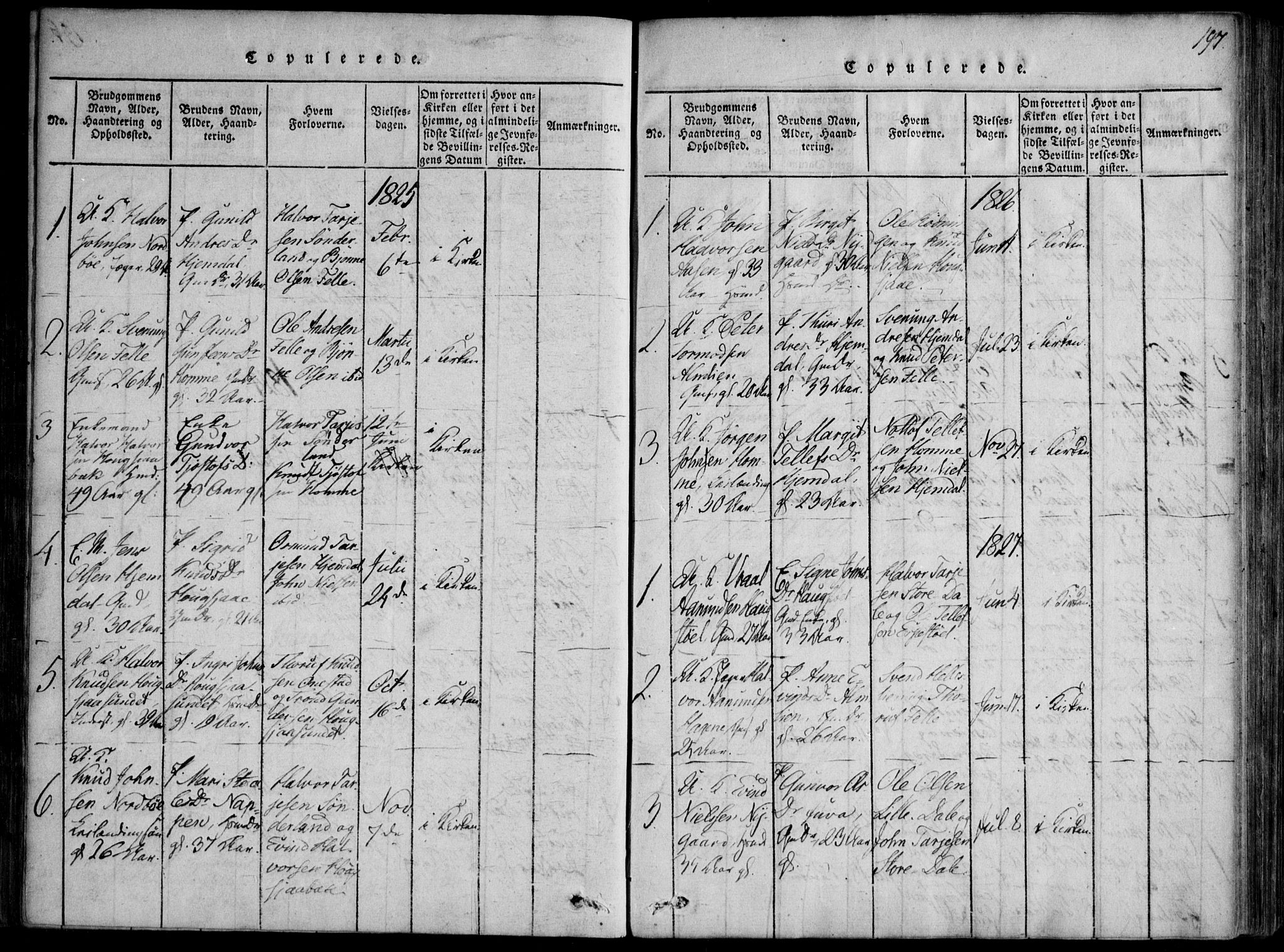 Nissedal kirkebøker, SAKO/A-288/F/Fb/L0001: Parish register (official) no. II 1, 1814-1845, p. 197
