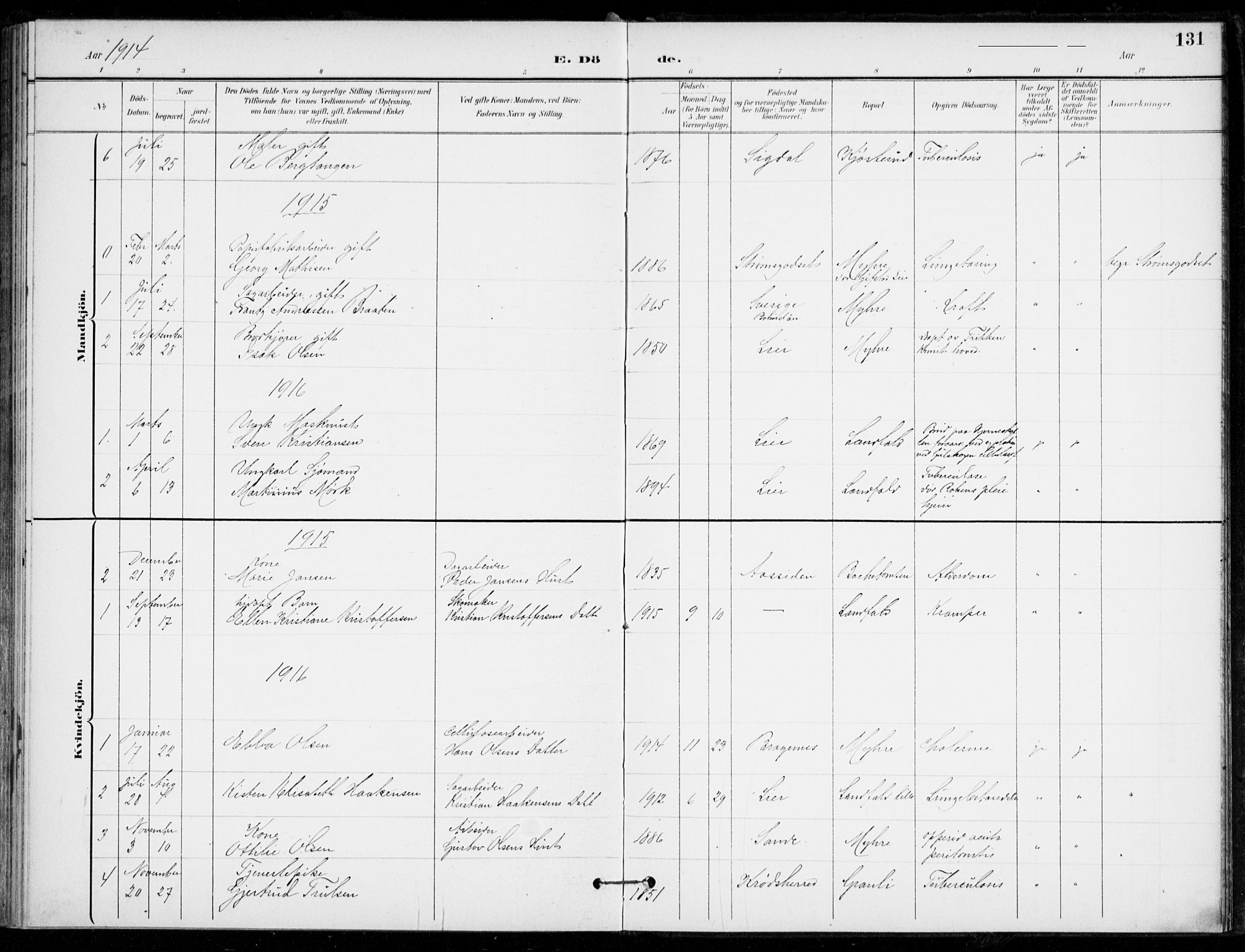Åssiden kirkebøker, AV/SAKO-A-251/F/Fa/L0002: Parish register (official) no. 2, 1896-1916, p. 131