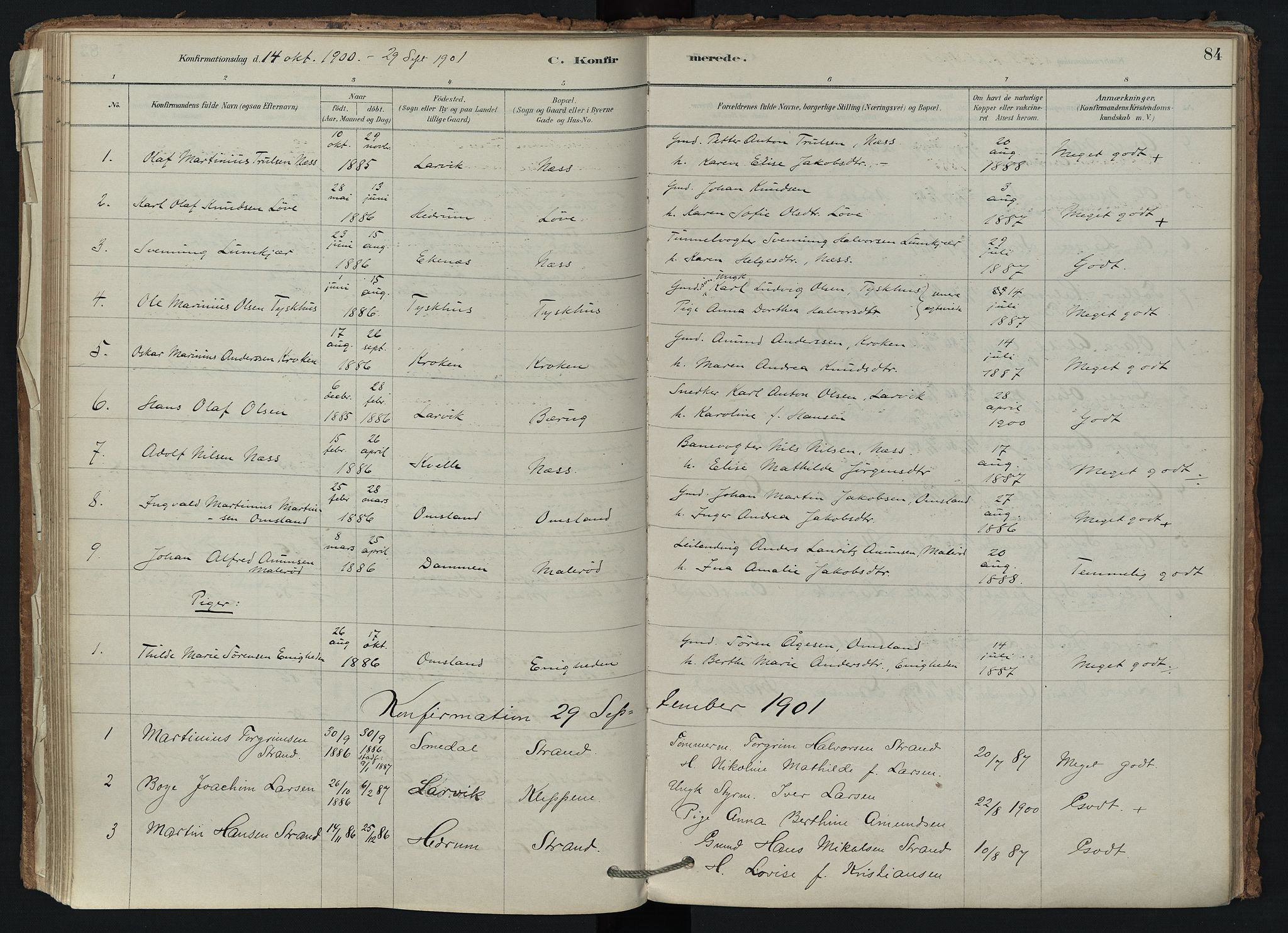 Brunlanes kirkebøker, AV/SAKO-A-342/F/Fd/L0001: Parish register (official) no. IV 1, 1878-1917, p. 84