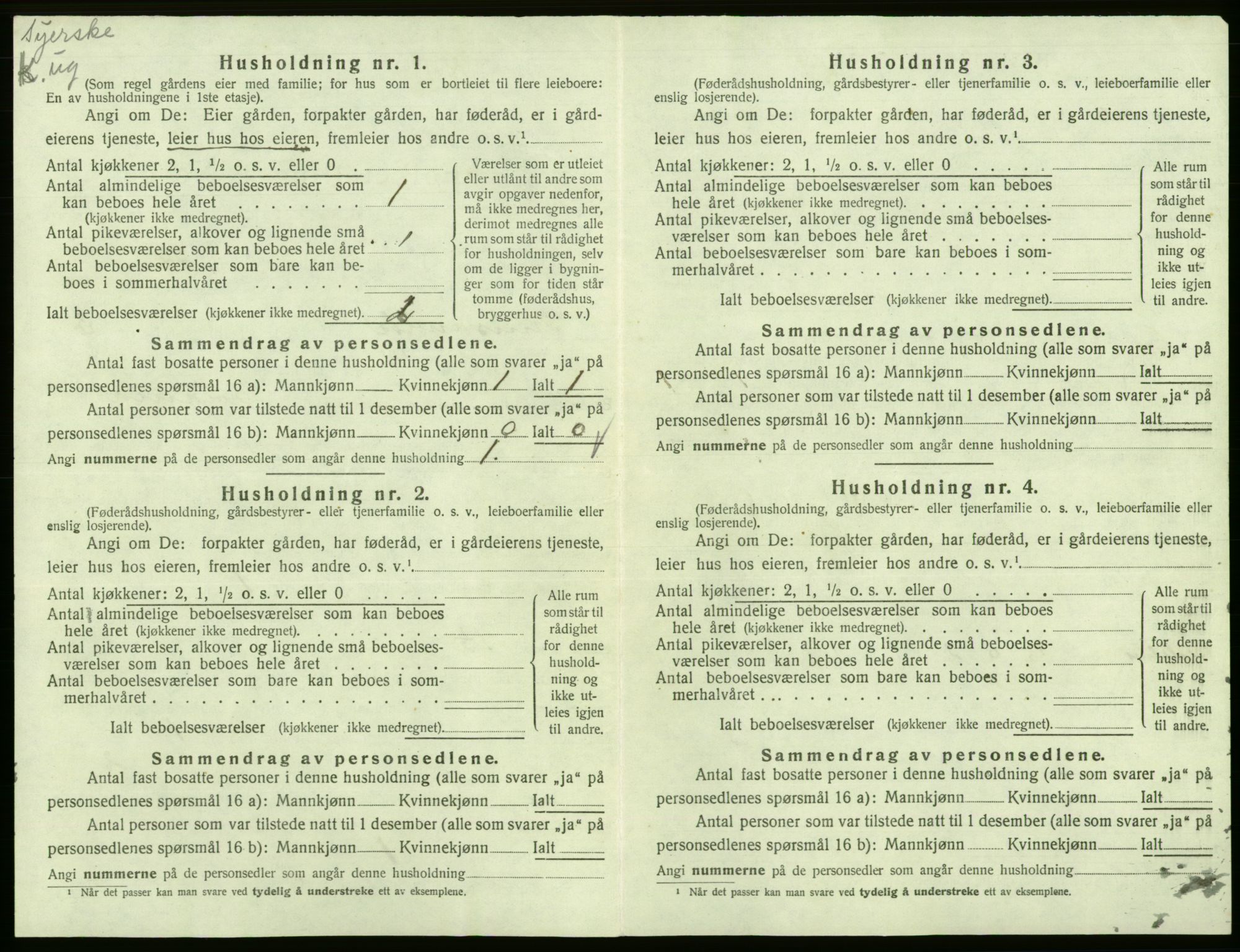 SAB, 1920 census for Kinsarvik, 1920, p. 308