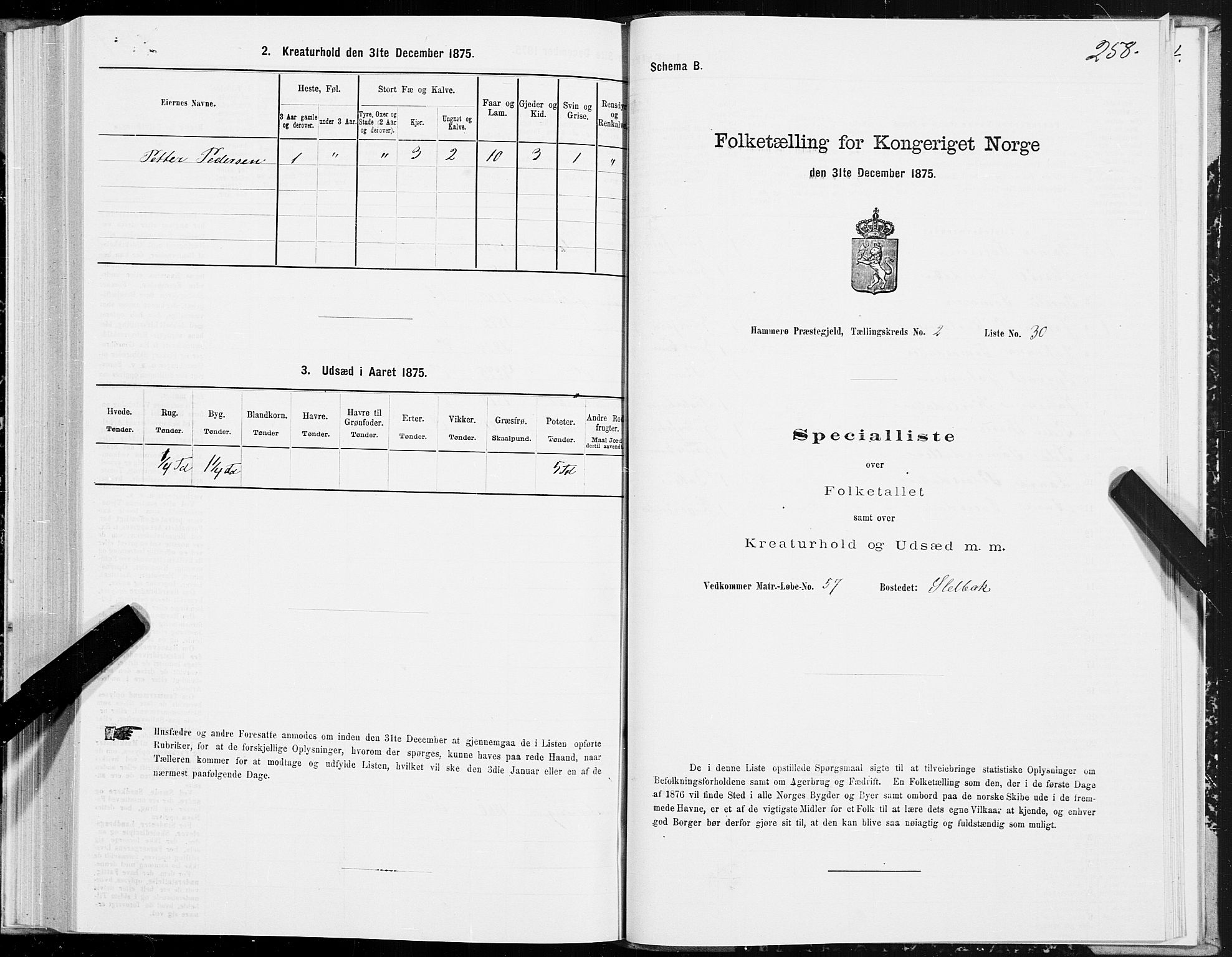 SAT, 1875 census for 1849P Hamarøy, 1875, p. 1258