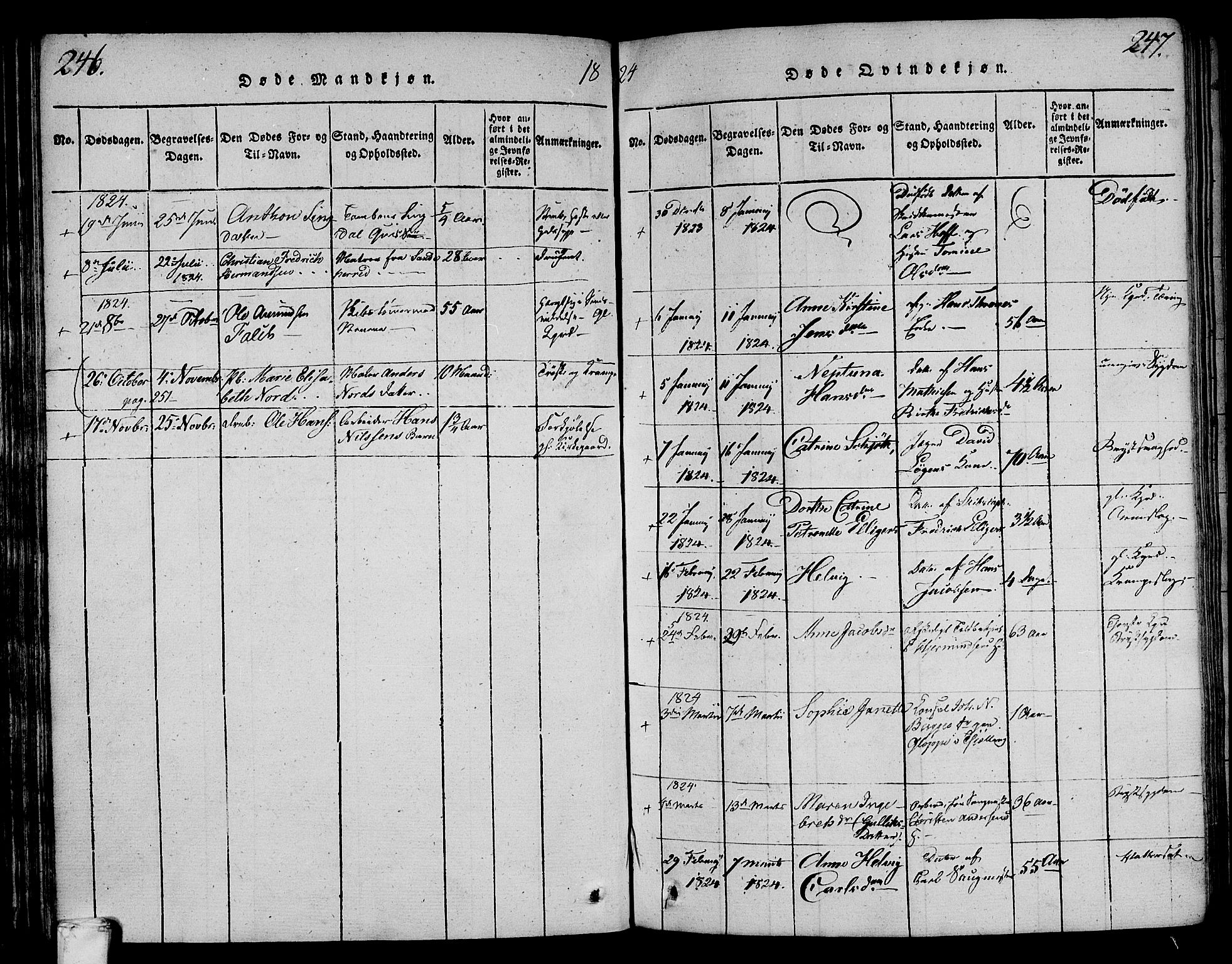 Larvik kirkebøker, AV/SAKO-A-352/F/Fa/L0001: Parish register (official) no. I 1, 1814-1825, p. 246-247