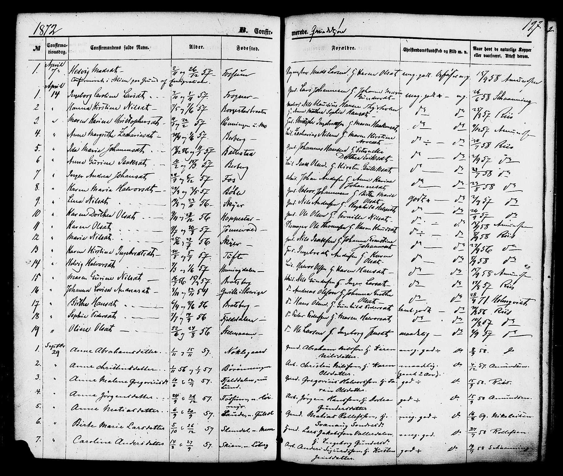 Gjerpen kirkebøker, SAKO/A-265/F/Fa/L0009: Parish register (official) no. I 9, 1872-1885, p. 197