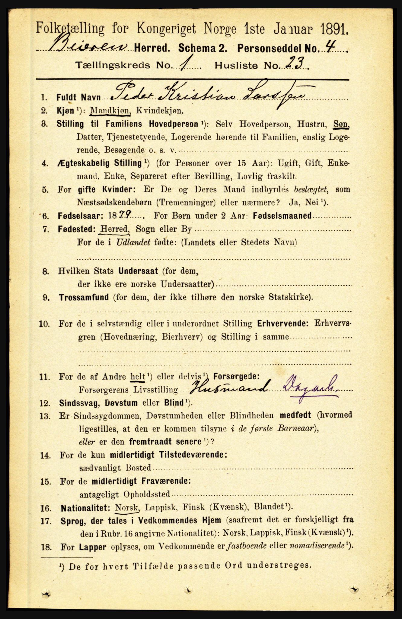 RA, 1891 census for 1839 Beiarn, 1891, p. 176
