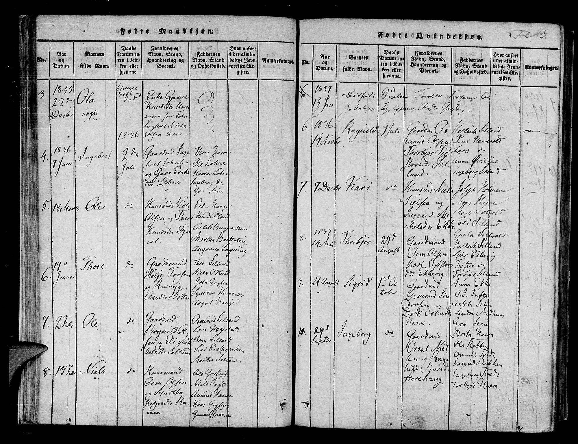 Røldal sokneprestembete, AV/SAB-A-100247: Parish register (official) no. A 2, 1817-1856, p. 43