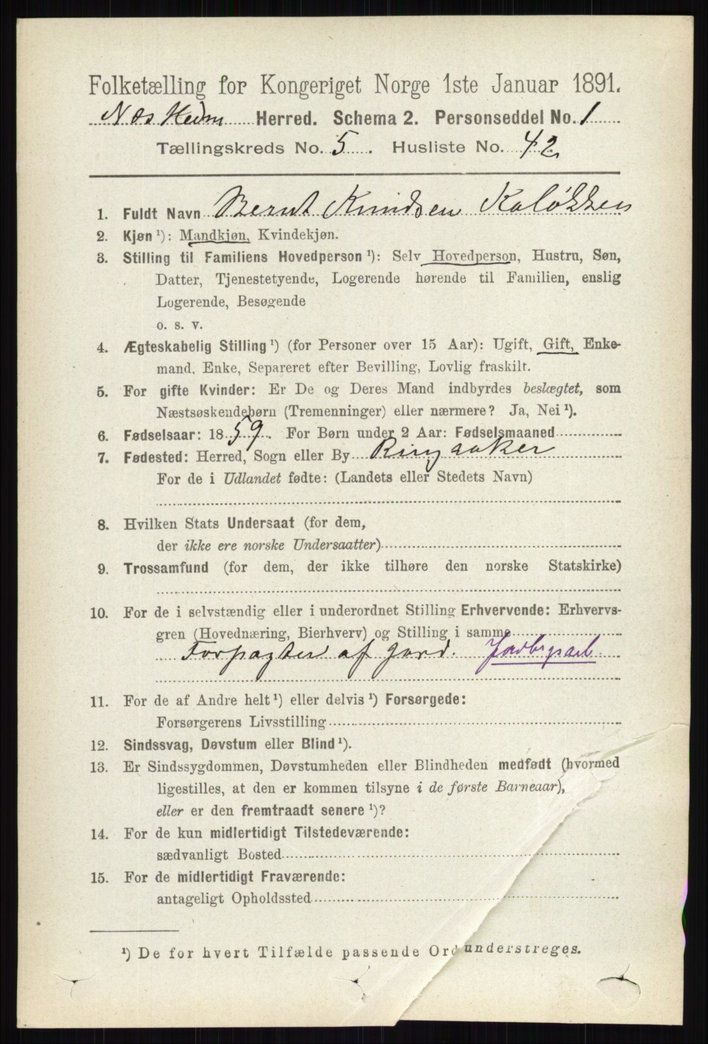 RA, 1891 census for 0411 Nes, 1891, p. 2850