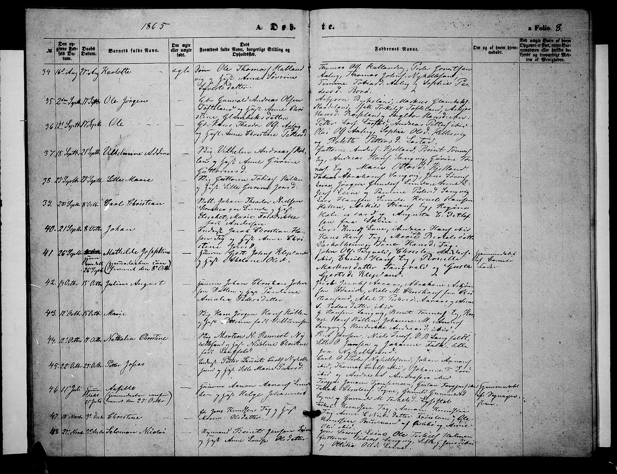 Søgne sokneprestkontor, SAK/1111-0037/F/Fb/Fbb/L0004: Parish register (copy) no. B 4, 1864-1883, p. 8