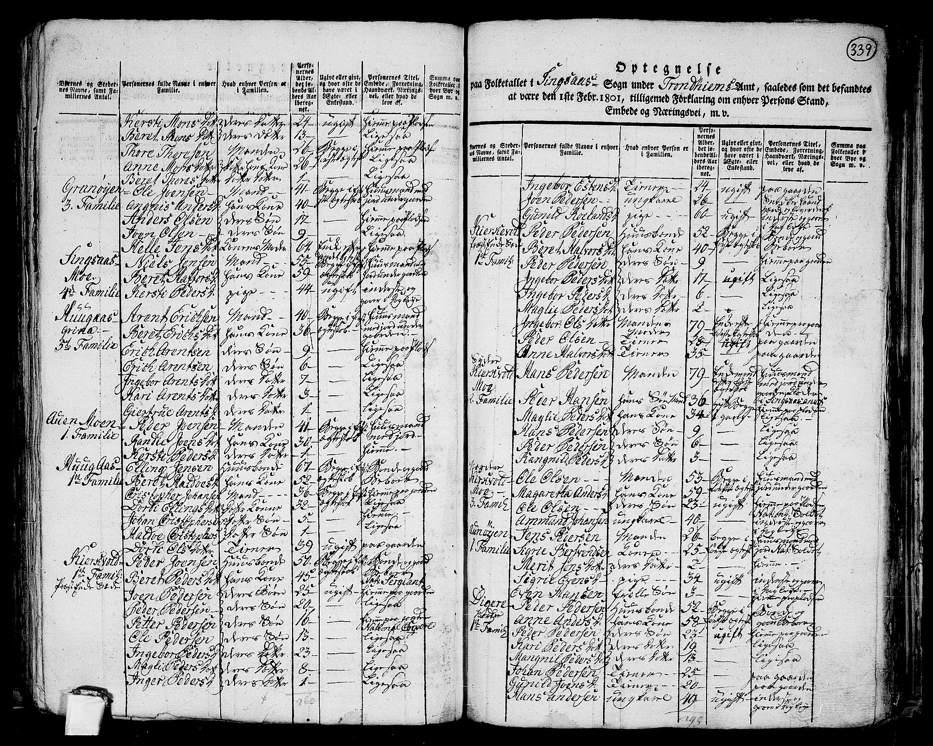 RA, 1801 census for 1645P Haltdalen, 1801, p. 338b-339a