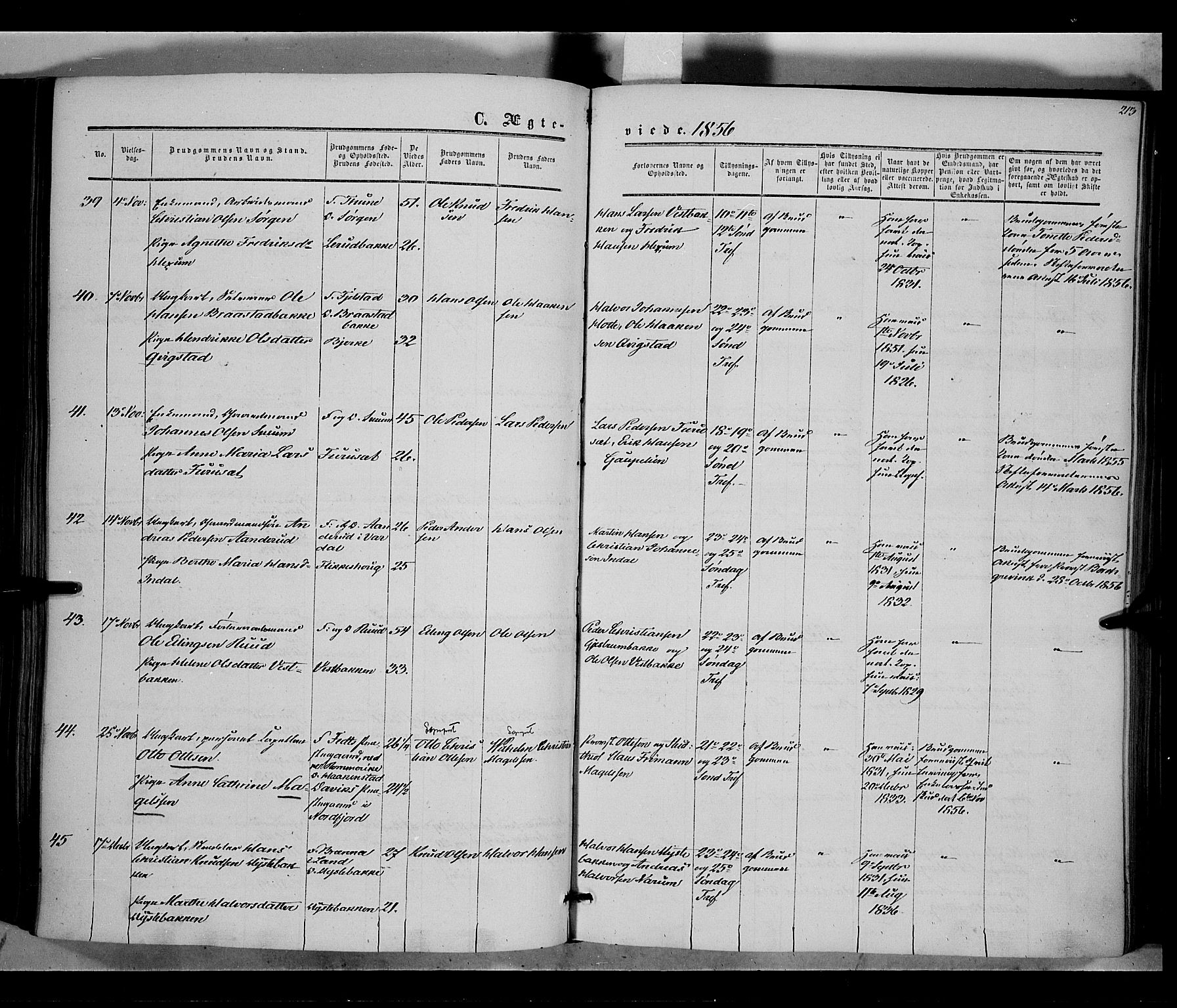 Vestre Toten prestekontor, SAH/PREST-108/H/Ha/Haa/L0006: Parish register (official) no. 6, 1856-1861, p. 213