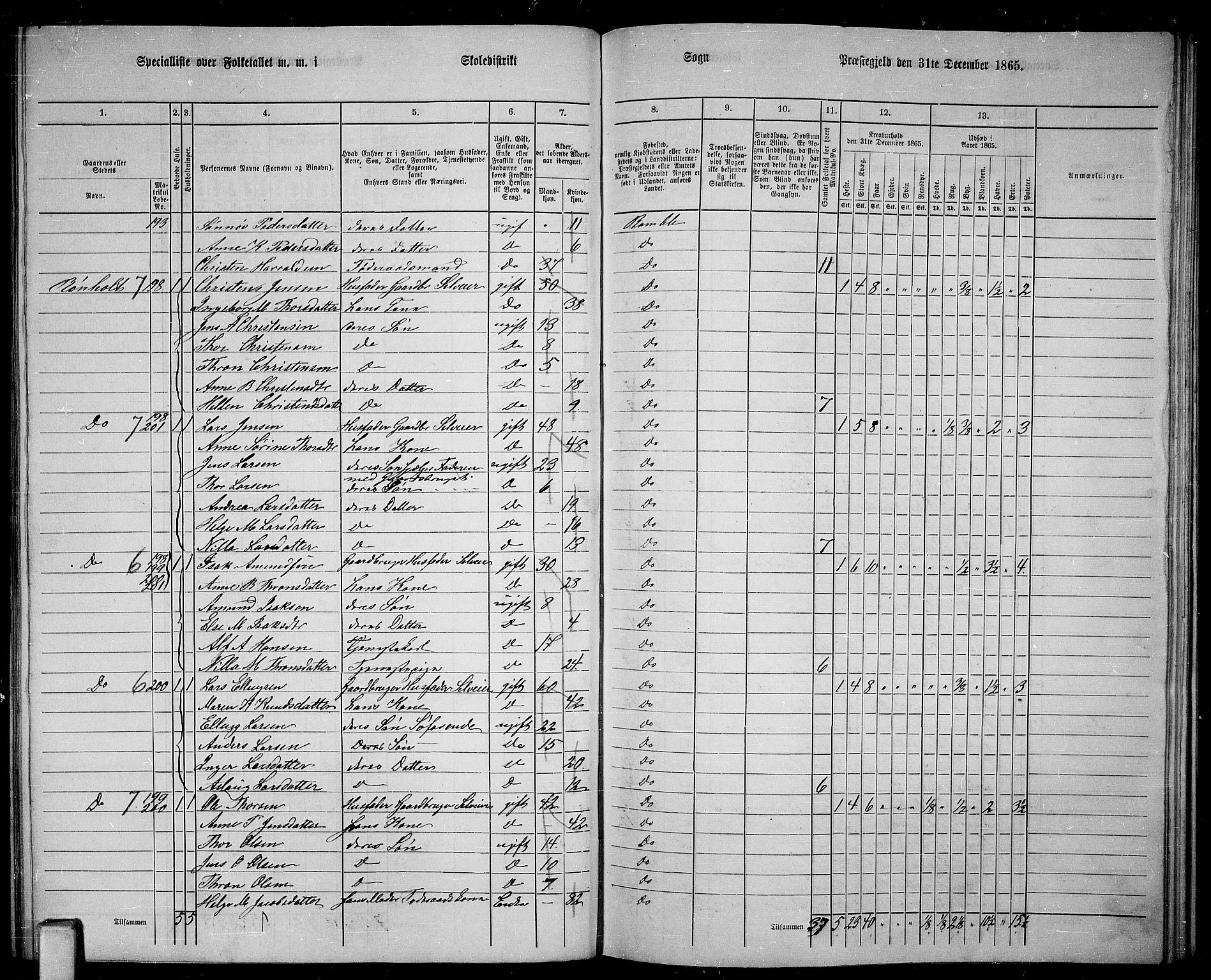 RA, 1865 census for Bamble, 1865, p. 107