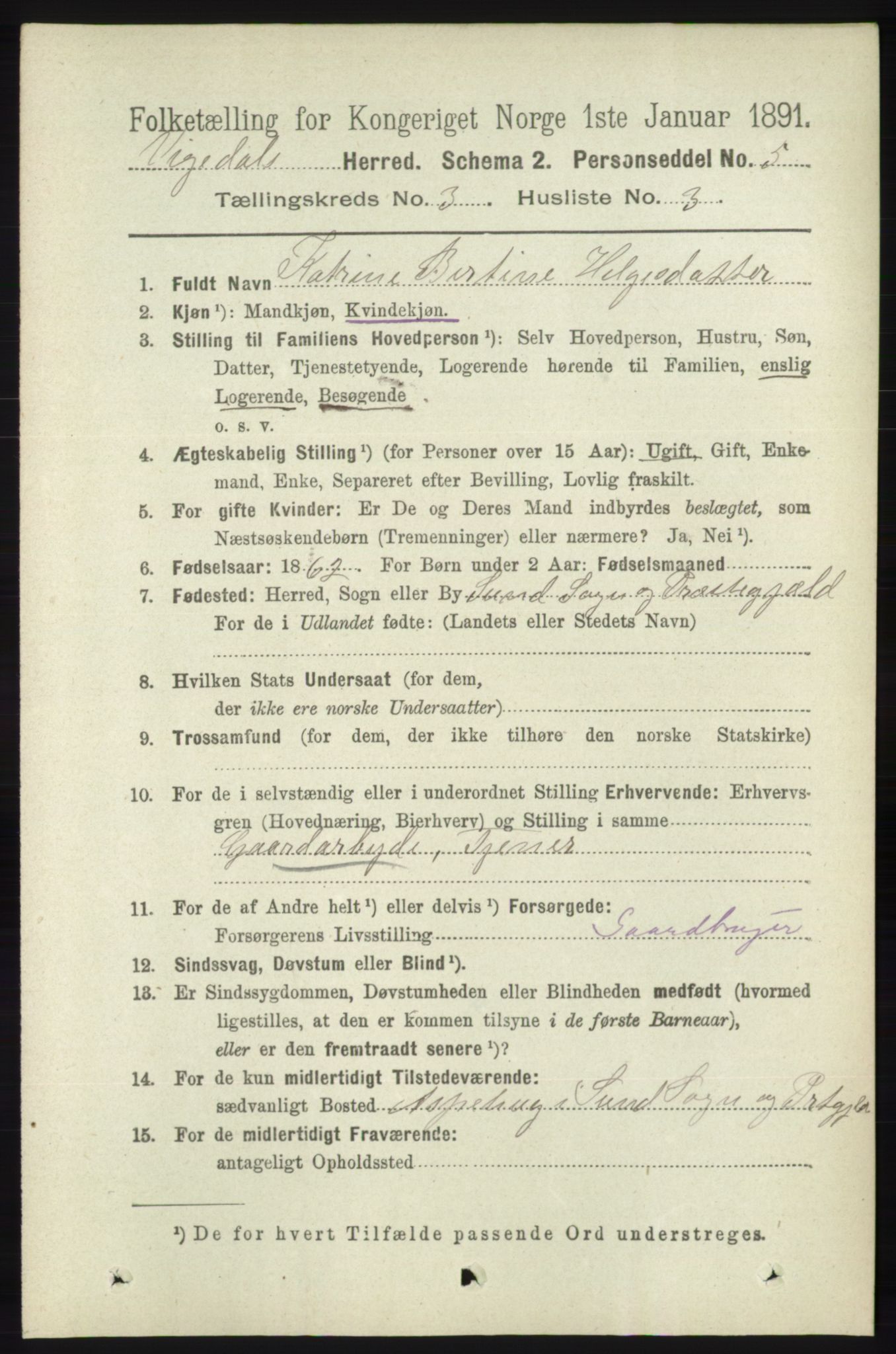 RA, 1891 census for 1157 Vikedal, 1891, p. 734