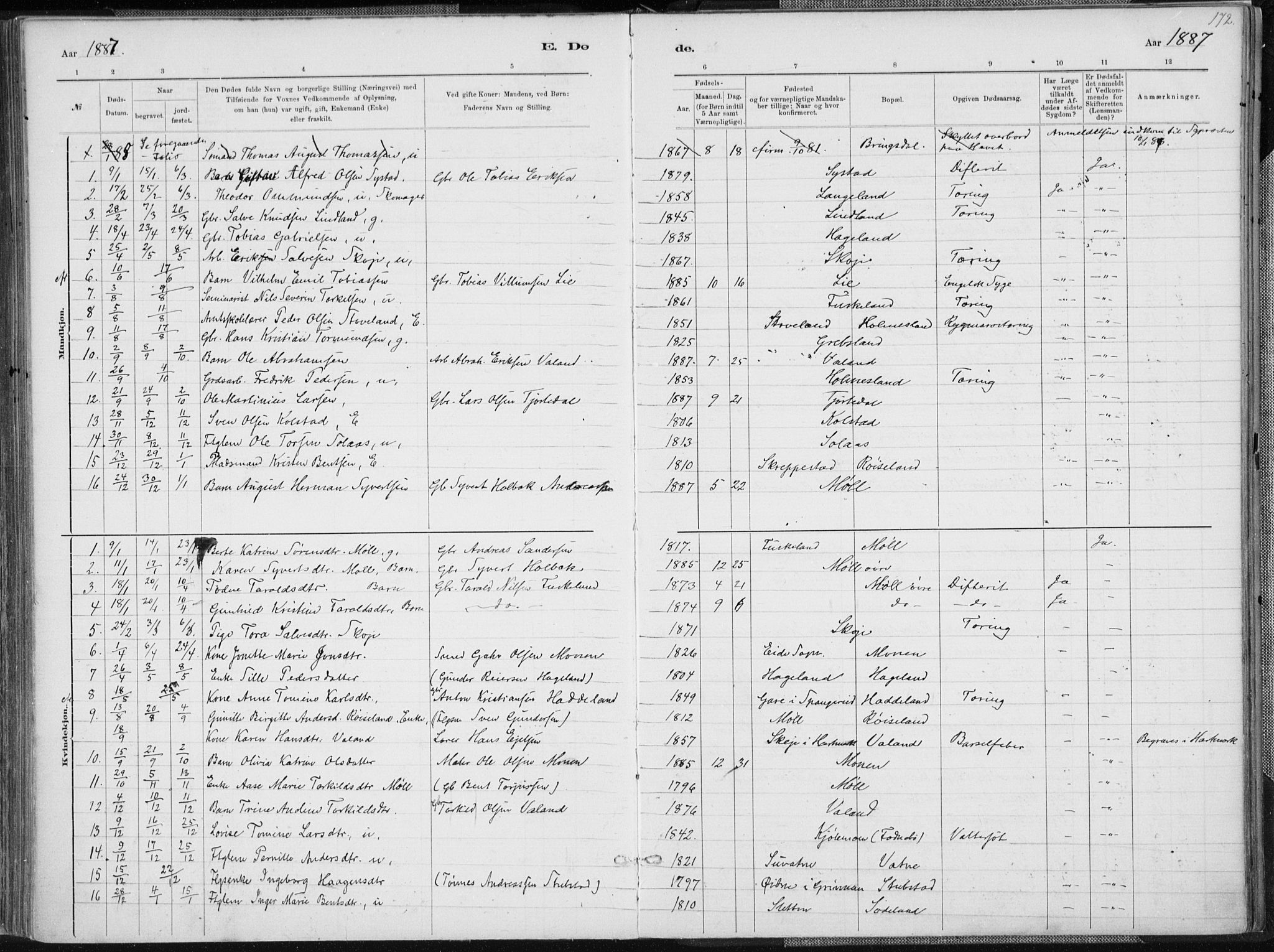 Holum sokneprestkontor, SAK/1111-0022/F/Fa/Faa/L0007: Parish register (official) no. A 7, 1884-1907, p. 172