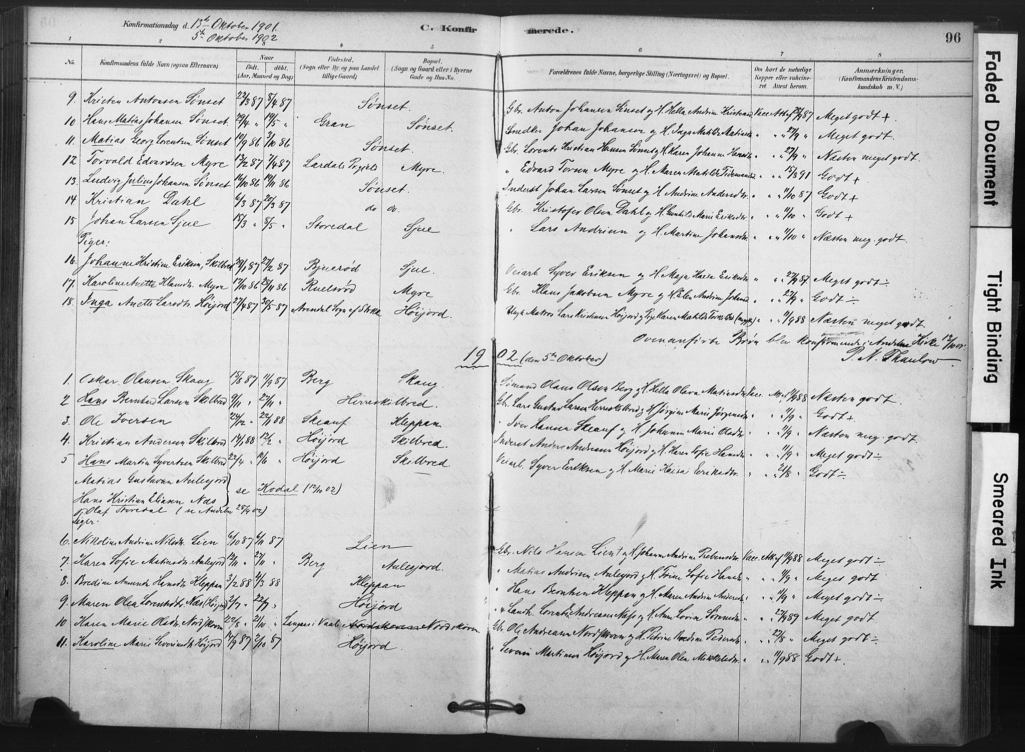 Andebu kirkebøker, AV/SAKO-A-336/F/Fb/L0001: Parish register (official) no. II 1, 1878-1909, p. 96