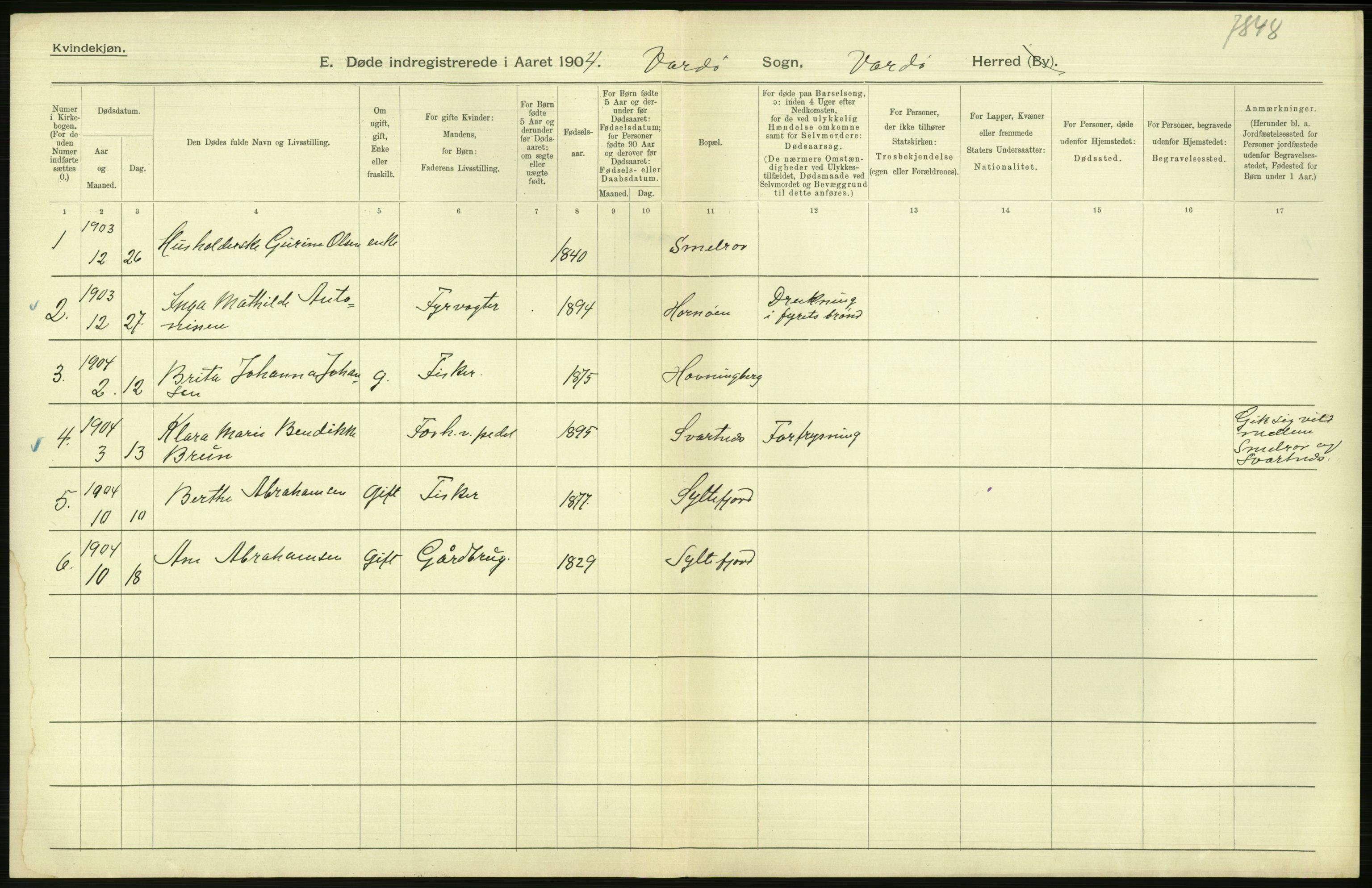 Statistisk sentralbyrå, Sosiodemografiske emner, Befolkning, AV/RA-S-2228/D/Df/Dfa/Dfab/L0023: Finnmarkens amt: Fødte, gifte, døde, 1904, p. 252