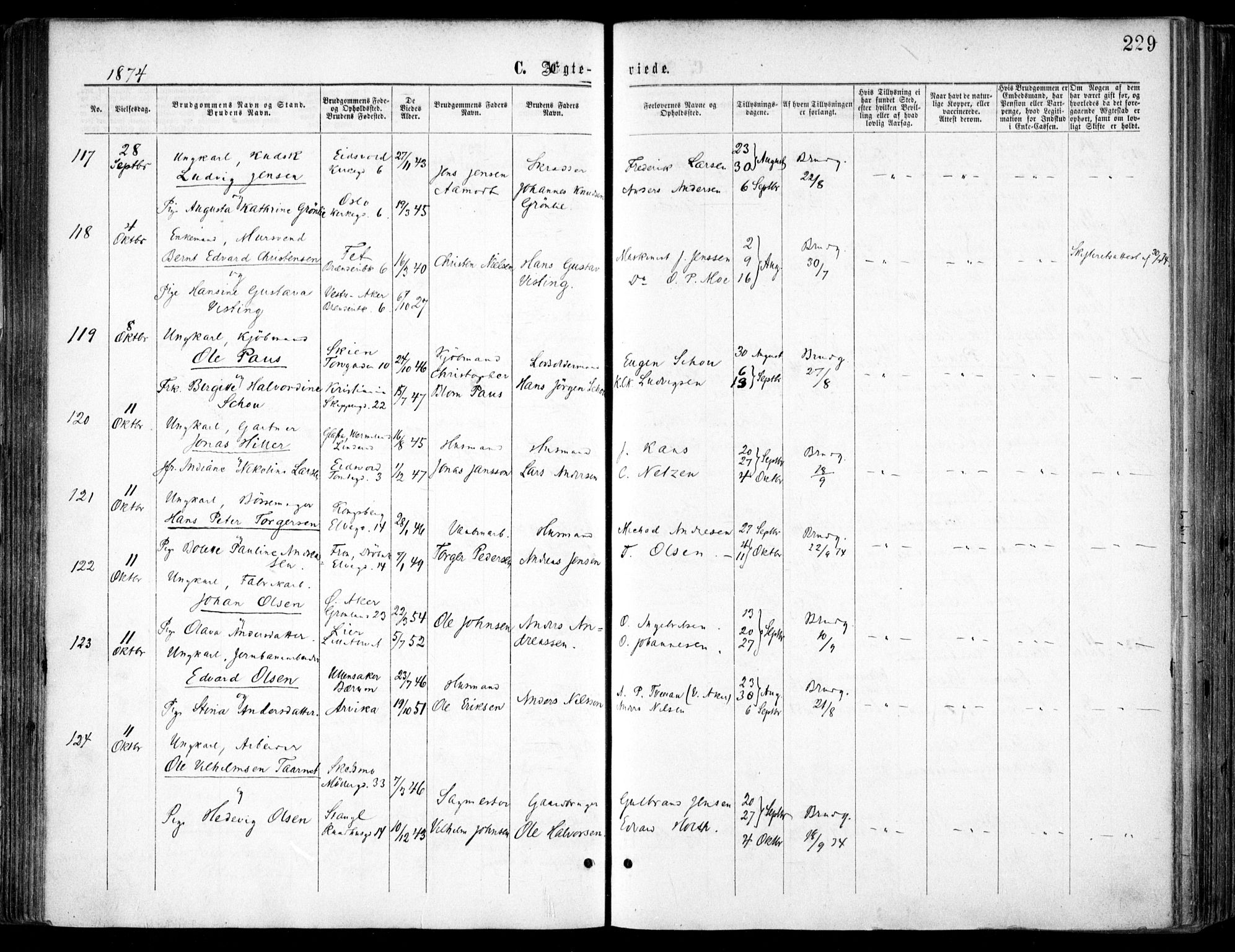 Oslo domkirke Kirkebøker, SAO/A-10752/F/Fa/L0021: Parish register (official) no. 21, 1865-1884, p. 229