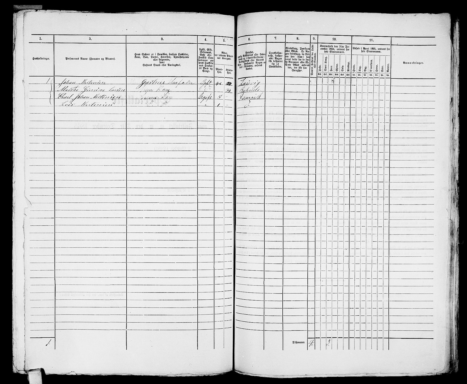 RA, 1865 census for Larvik, 1865, p. 1159