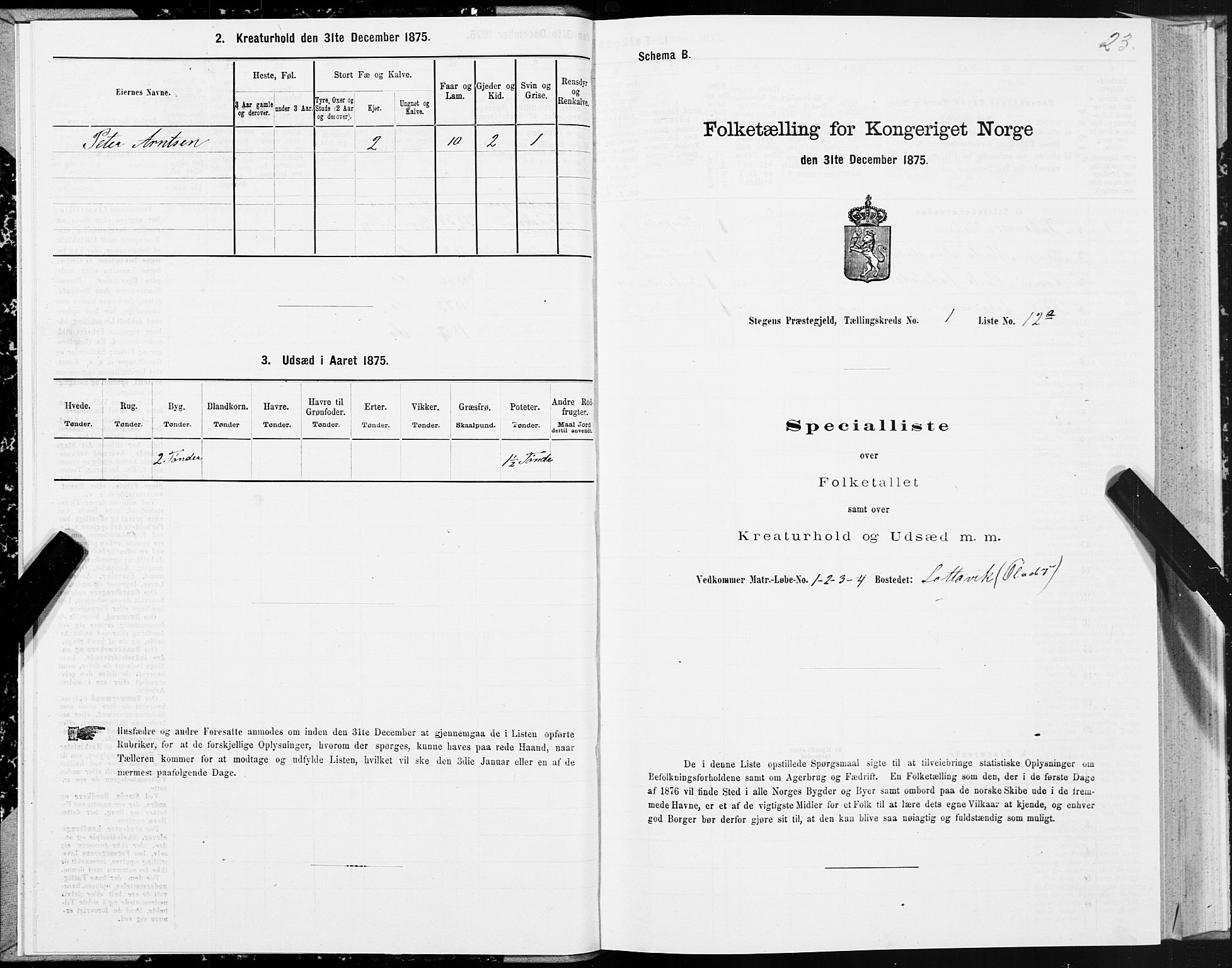 SAT, 1875 census for 1848P Steigen, 1875, p. 1023